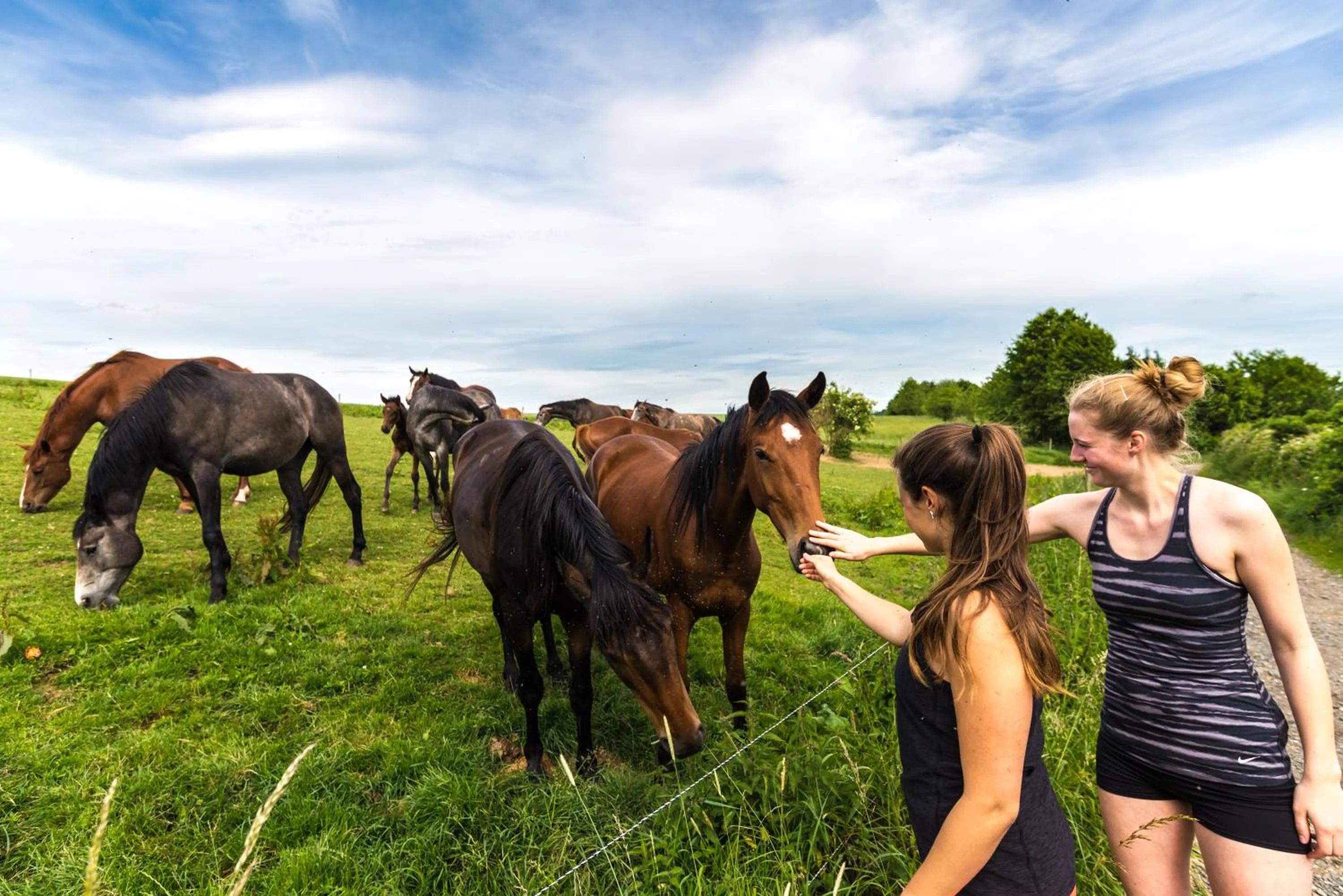 Activities in Hotel Zugbrücke Grenzau GmbH