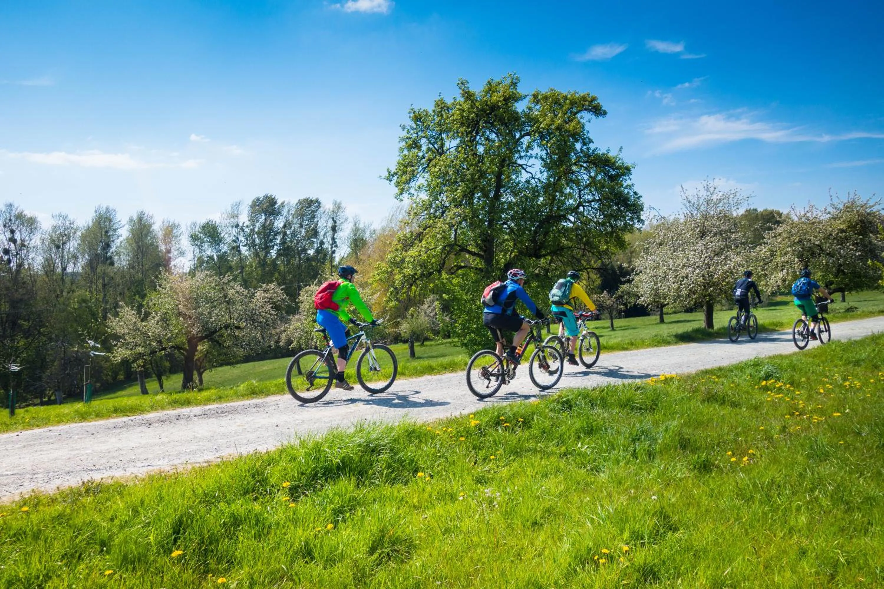 Cycling in Hotel Zugbrücke Grenzau GmbH