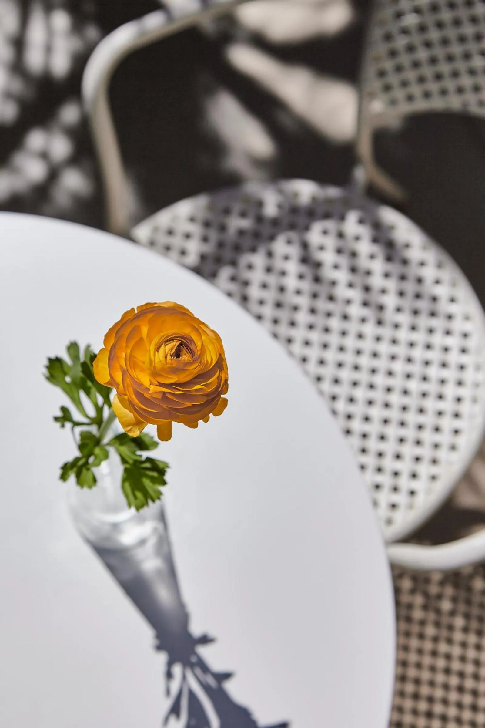 Property building in Hotel La Fenice