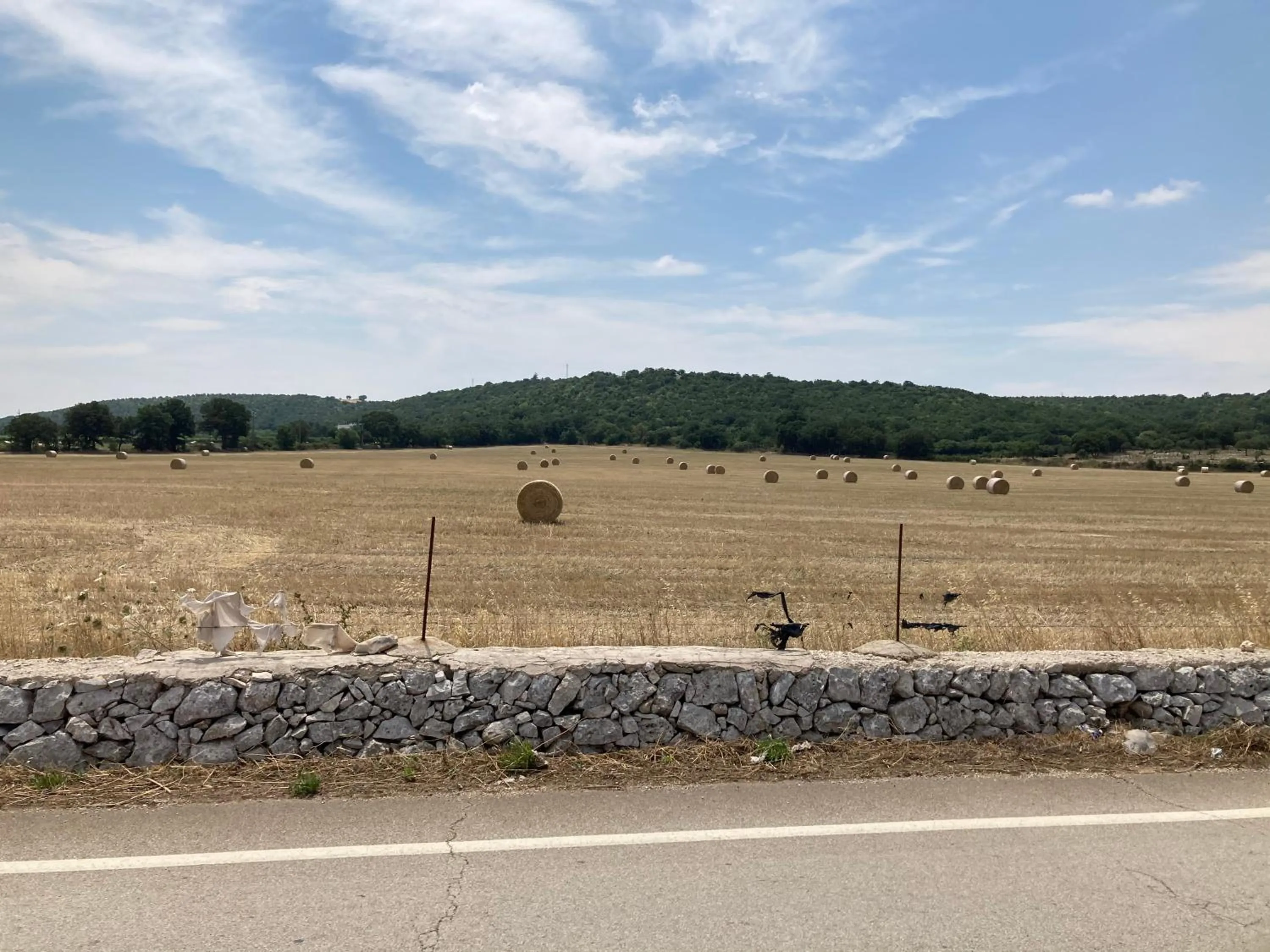 Natural landscape in Borghetto Pedale
