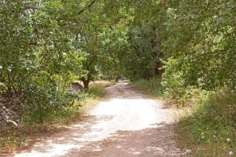 Property building in Borghetto Pedale