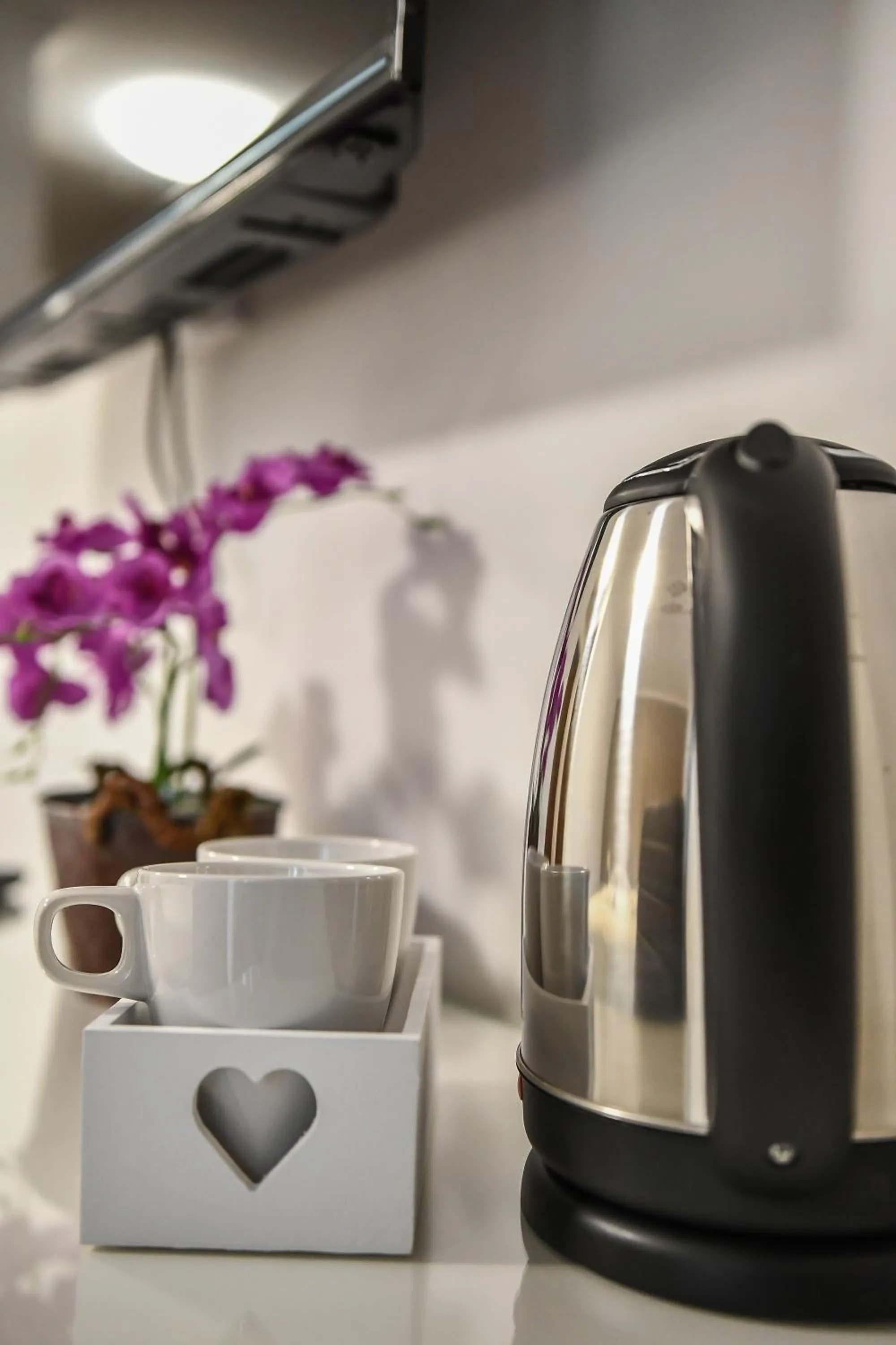 Coffee/tea facilities in É-Vaskó Panzió Borpince