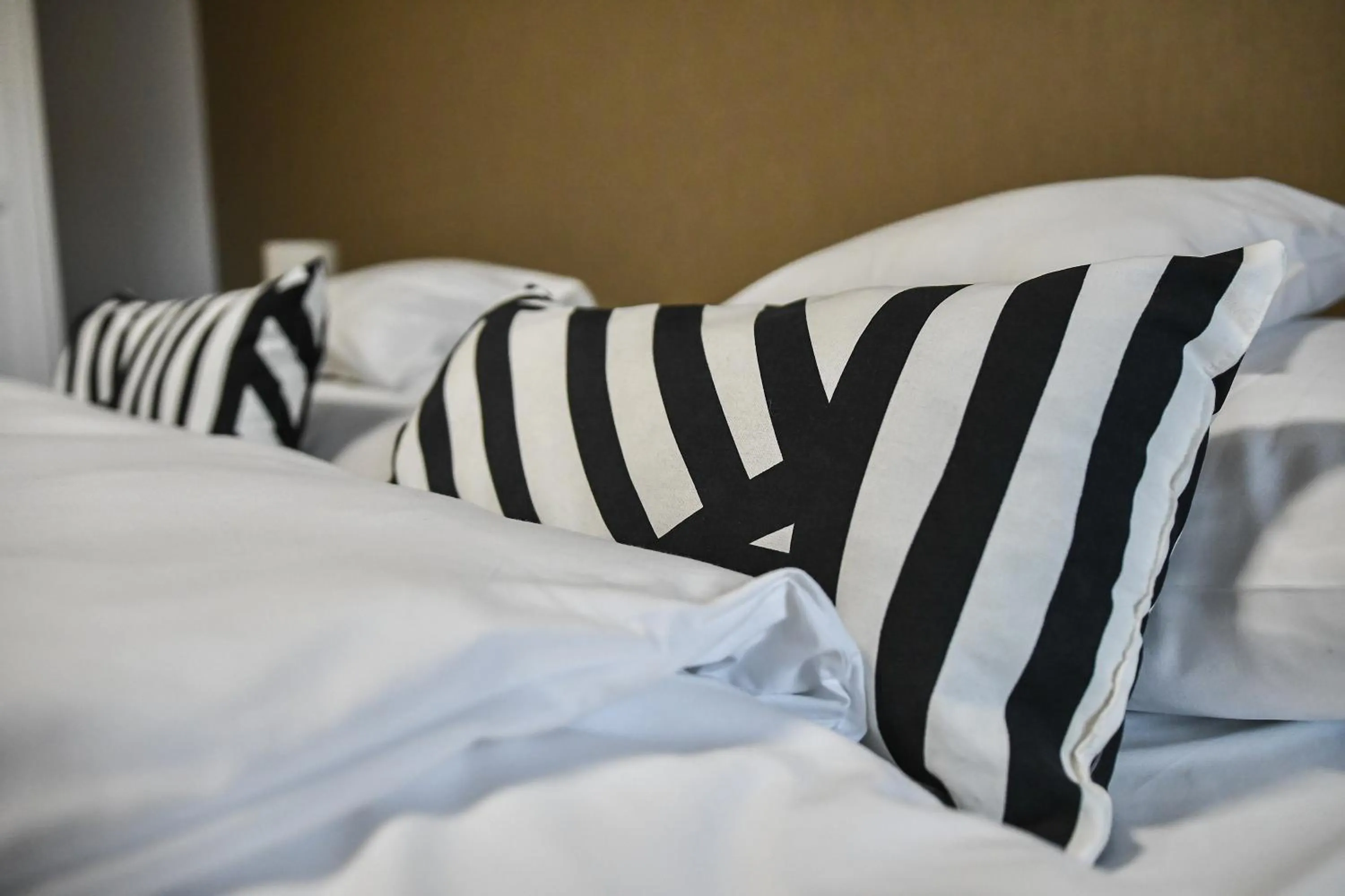 Photo of the whole room, Bed in É-Vaskó Panzió Borpince