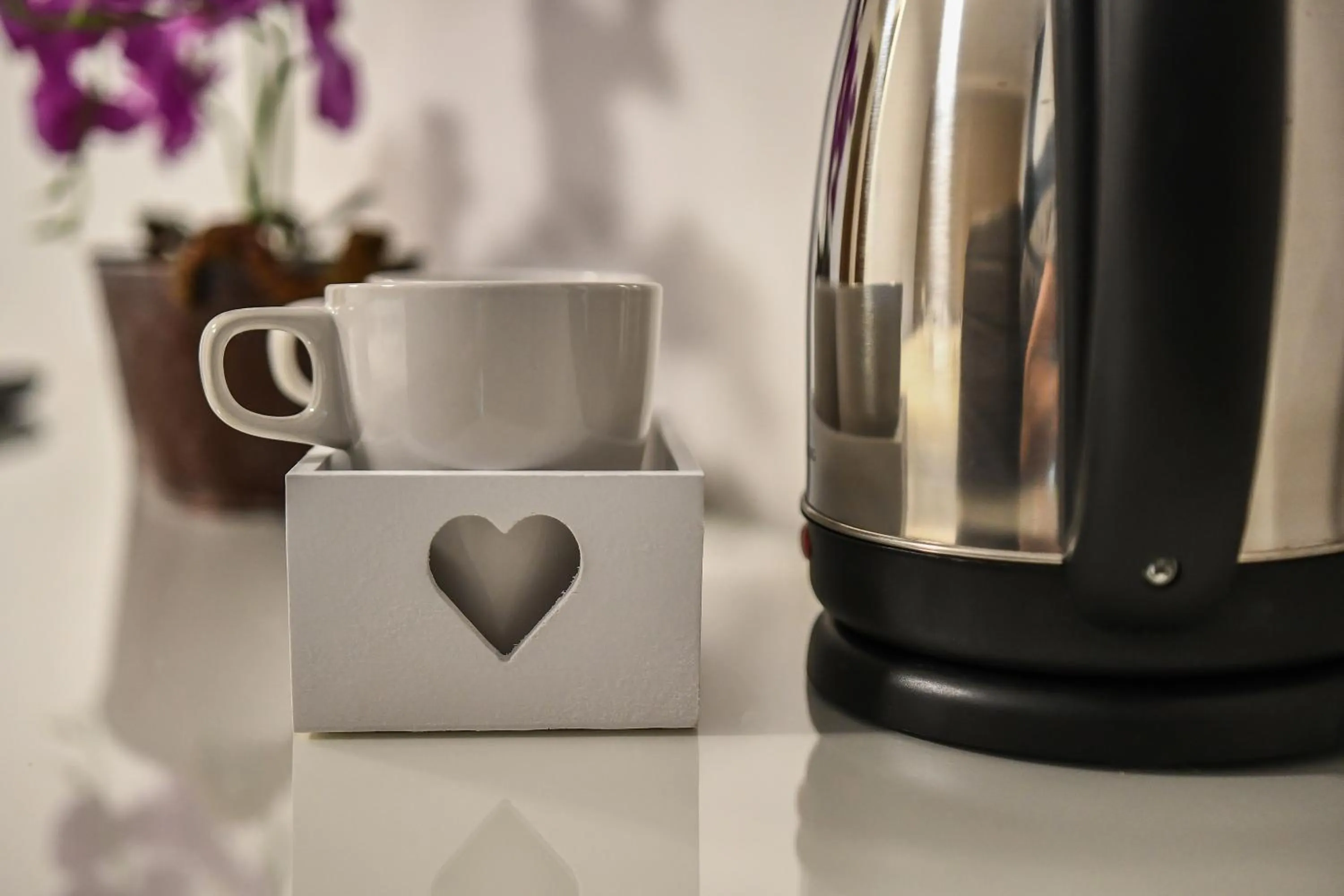 Coffee/tea facilities in É-Vaskó Panzió Borpince