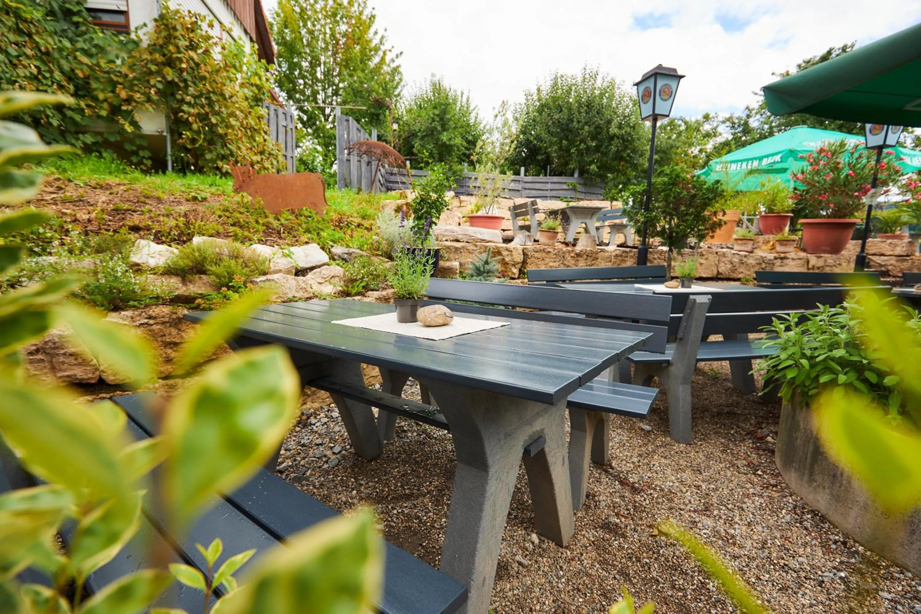 Restaurant/places to eat in Flair Hotel Landgasthof Roger