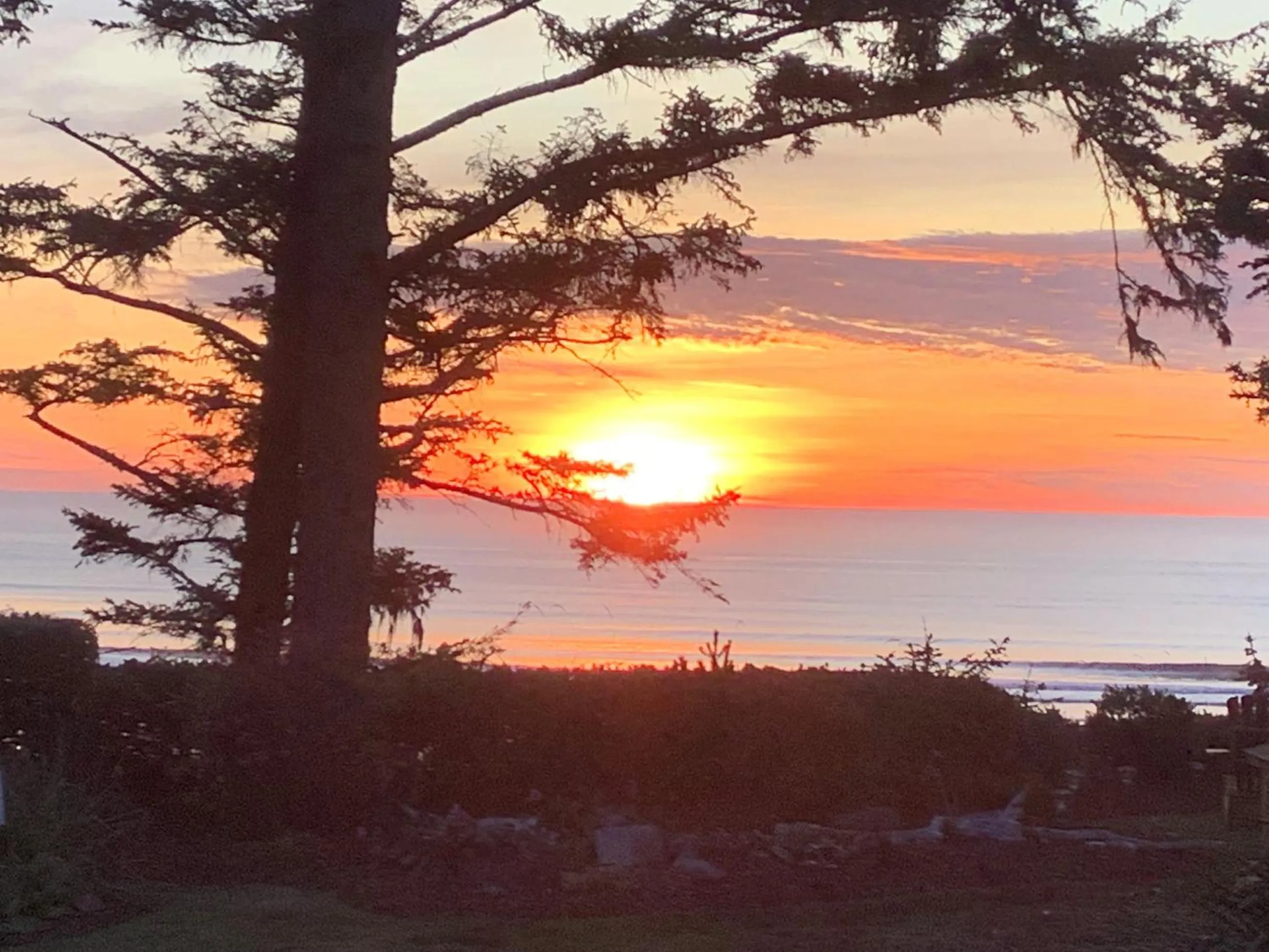 View (from property/room) in Ocean House