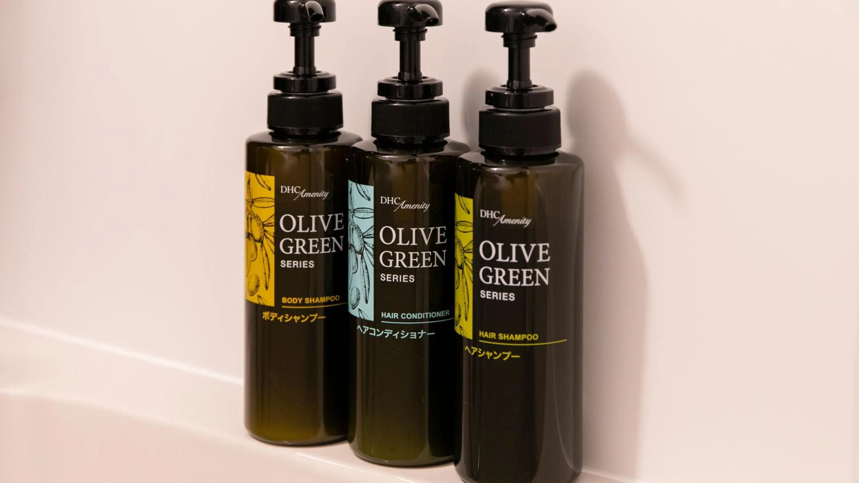 Area and facilities in KOKO HOTEL Hidatakayama - formaly Hotel Wing Hida Takayama