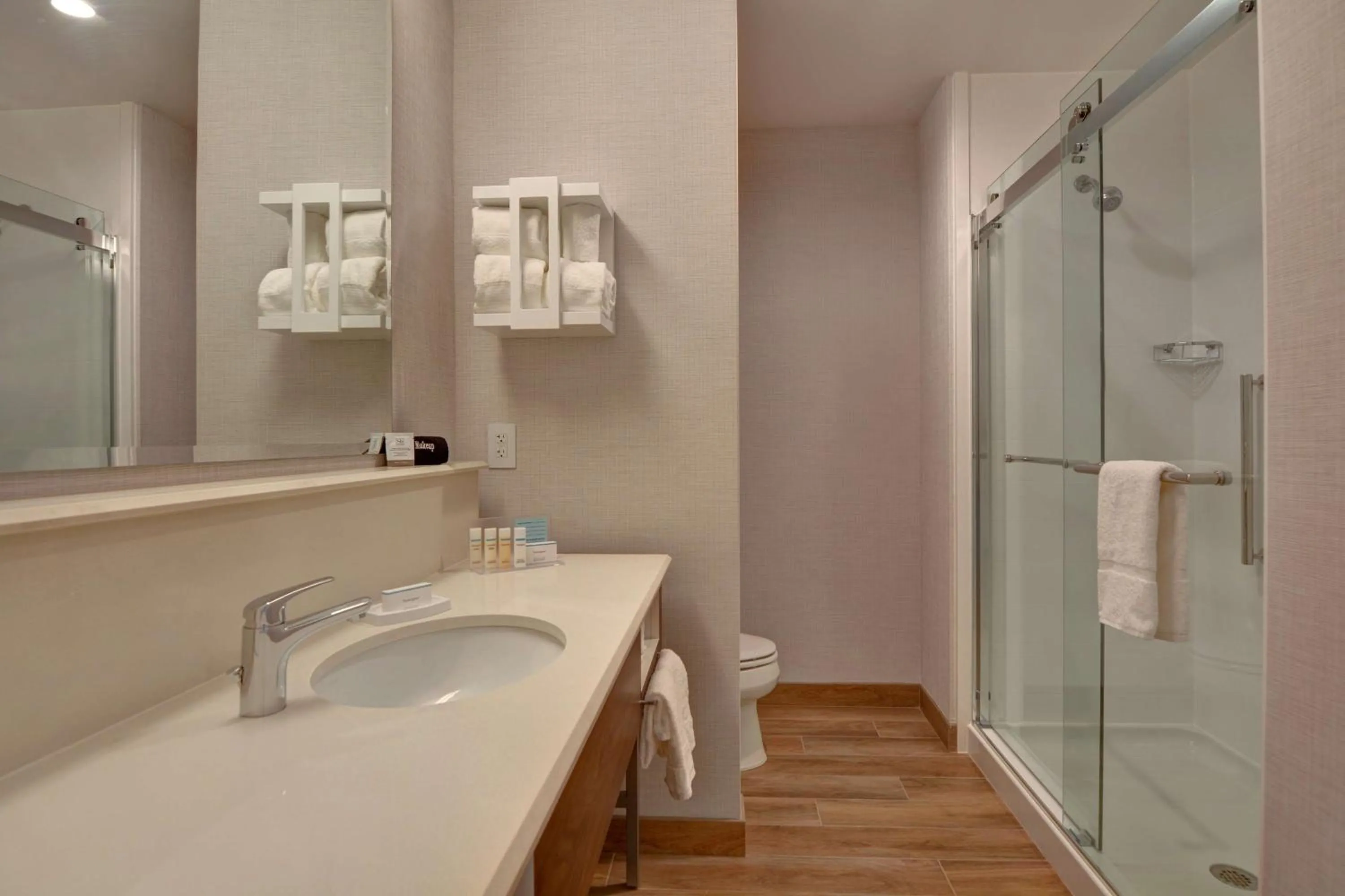 Bathroom in Hampton Inn & Suites Nashville Downtown Capitol View, Tn