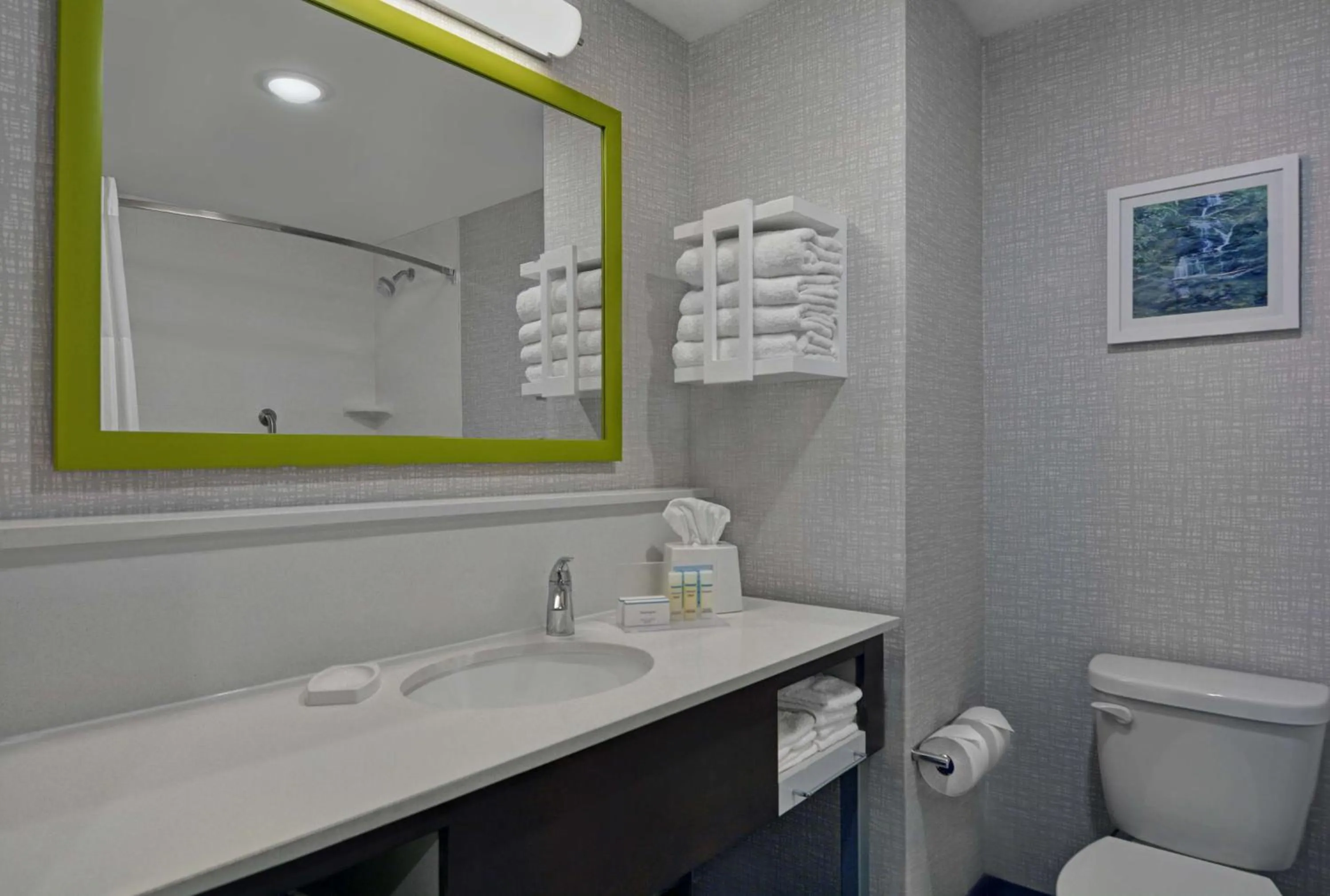 Bathroom in Hampton Inn And Suites Macclenny I-10