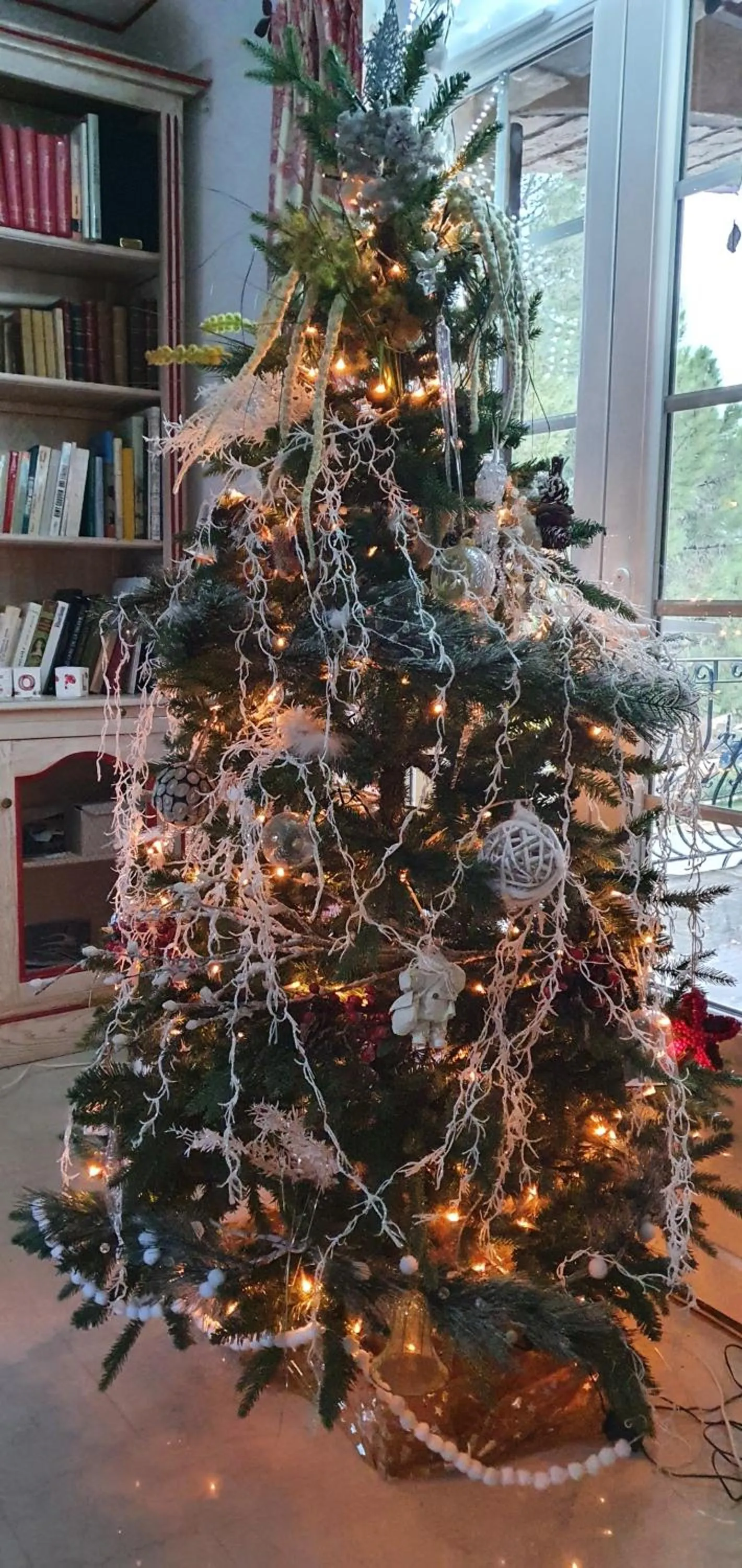 Library in Chambre d'hôte "Avignon"