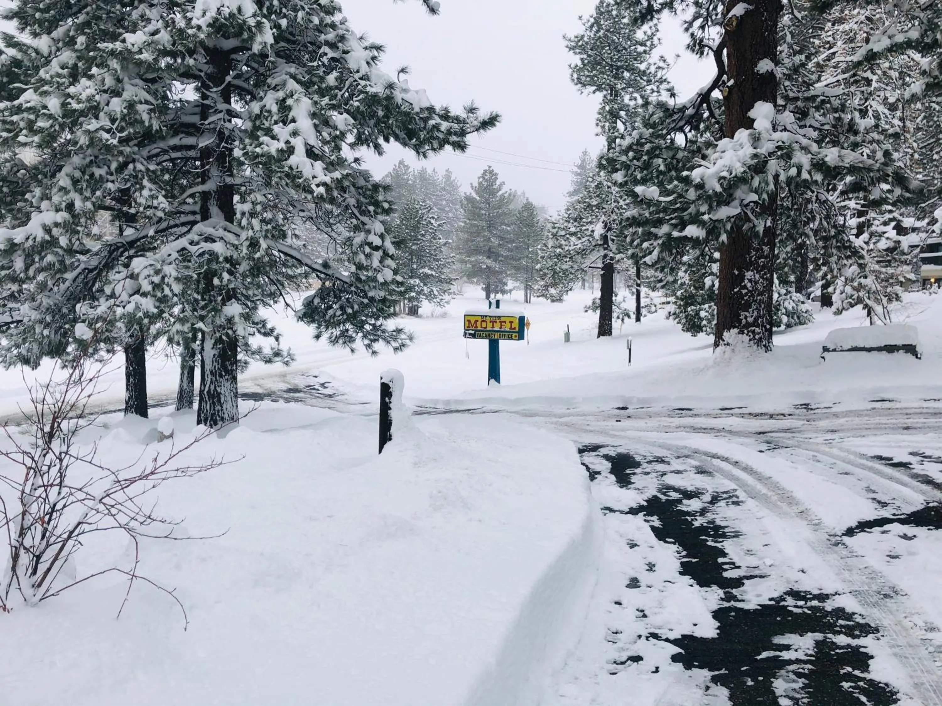 View (from property/room) in Mountain View Cabins