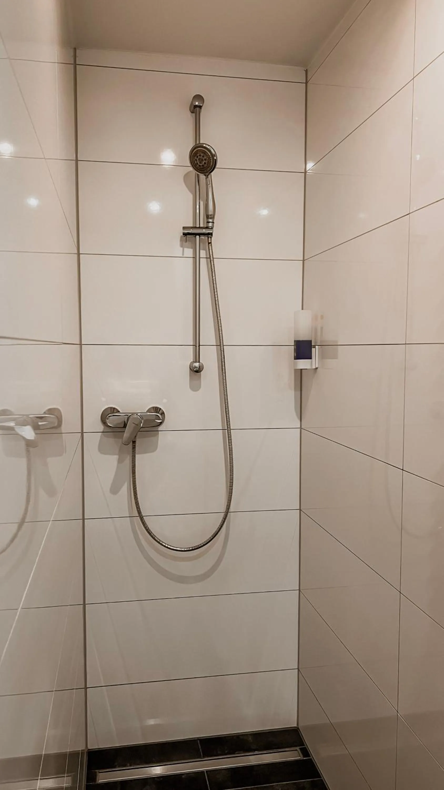 Shower in Apartments am Rheingarten