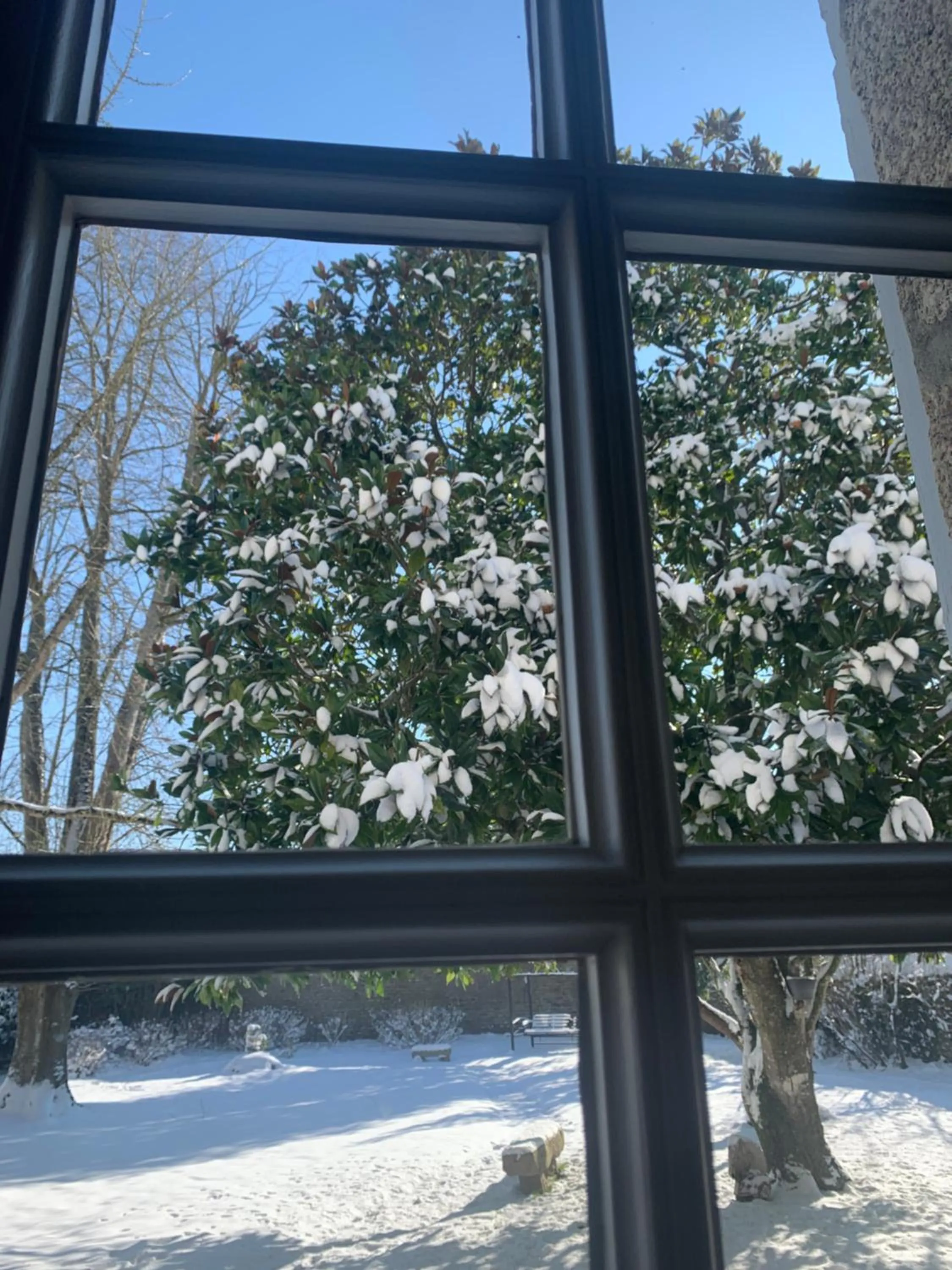 Garden view in La Meffrais 1741 - Manoir Élégant - B&B - Parking - 3 min de Dinan