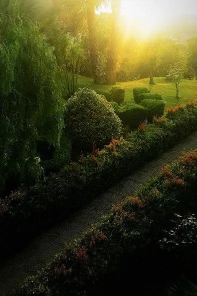 Natural landscape in Tenuta Tropeano