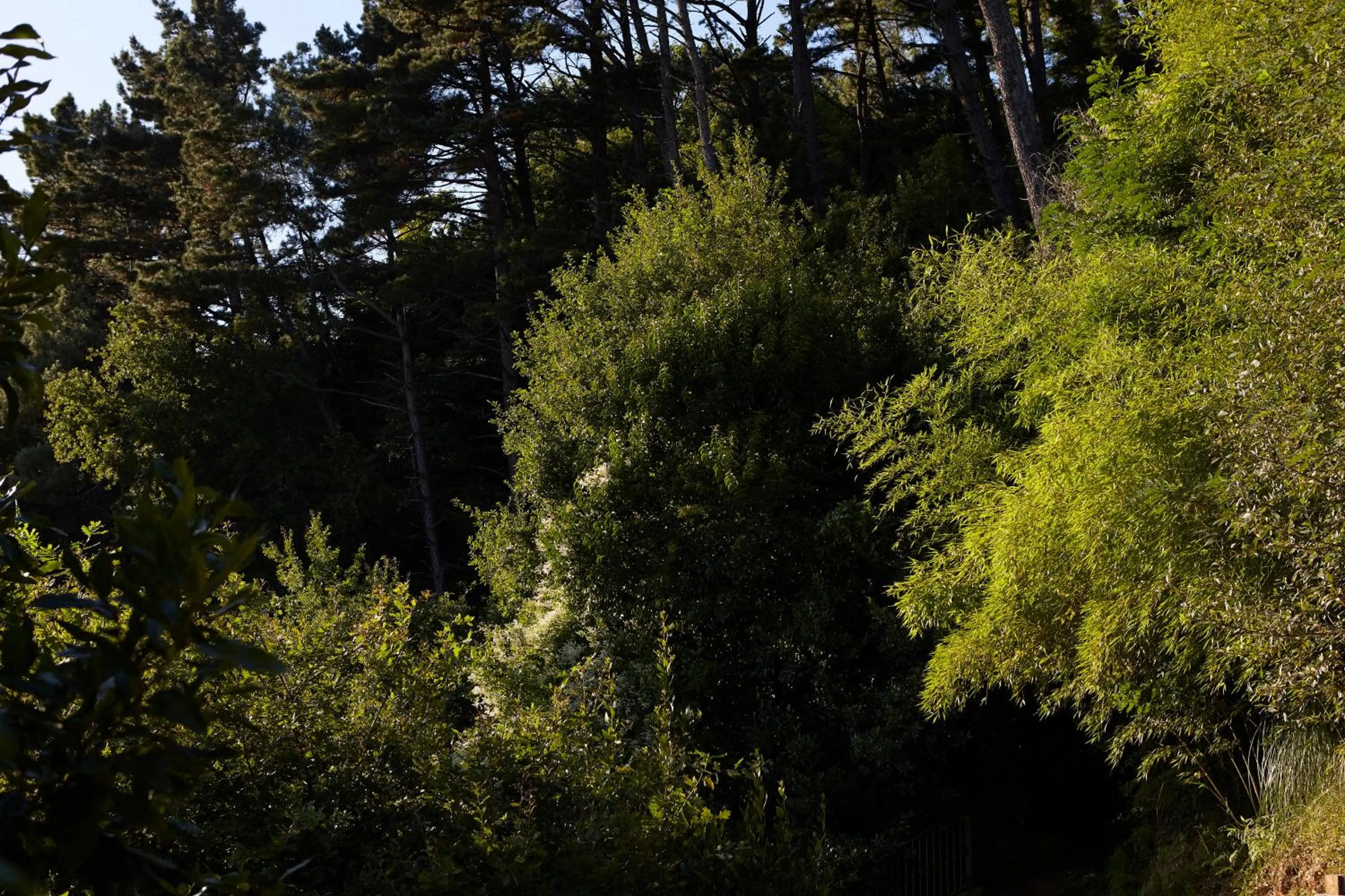 Garden view in Boutique Hotel Mendi Argia