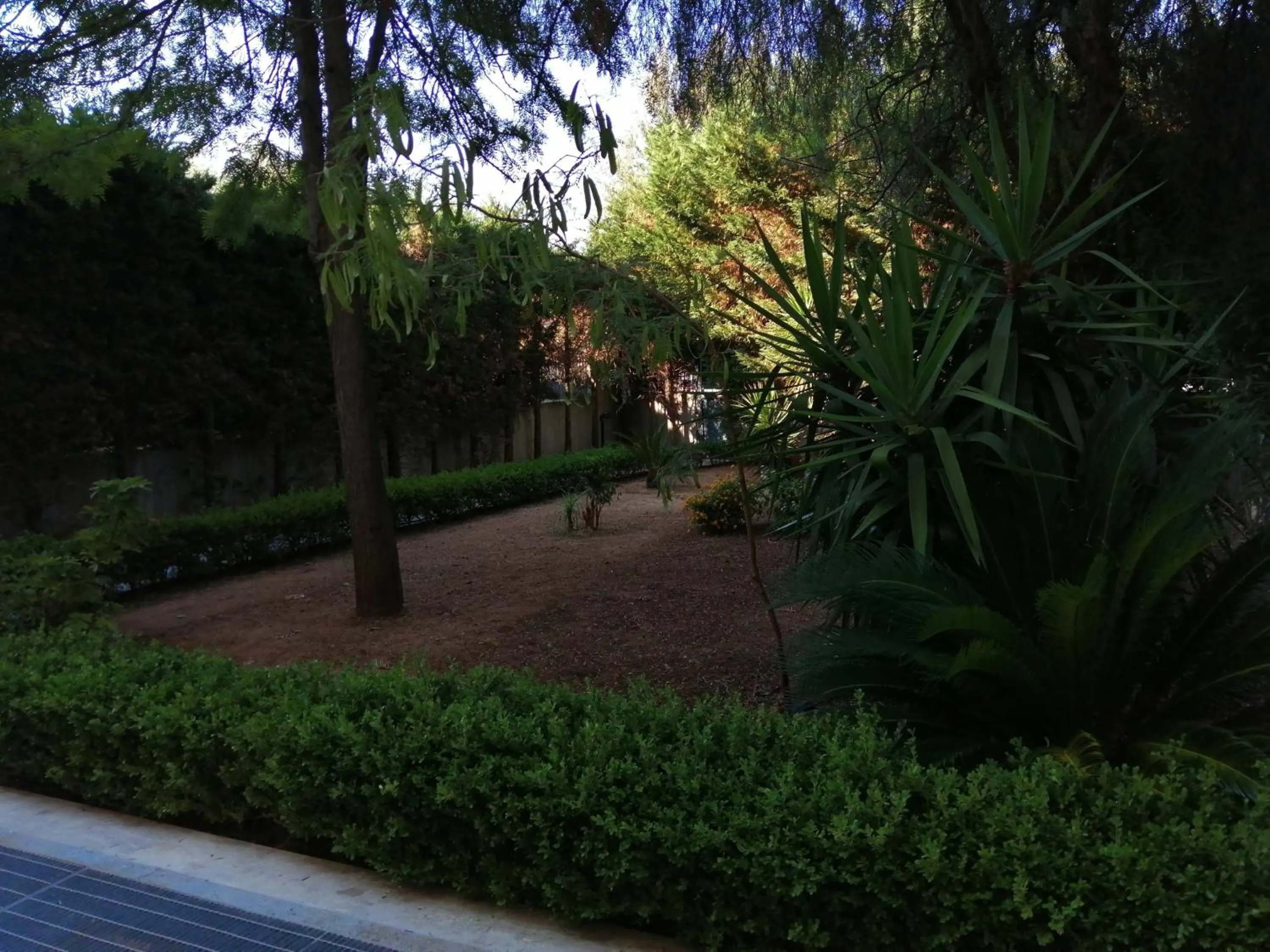 Garden in B&B SALento Garden