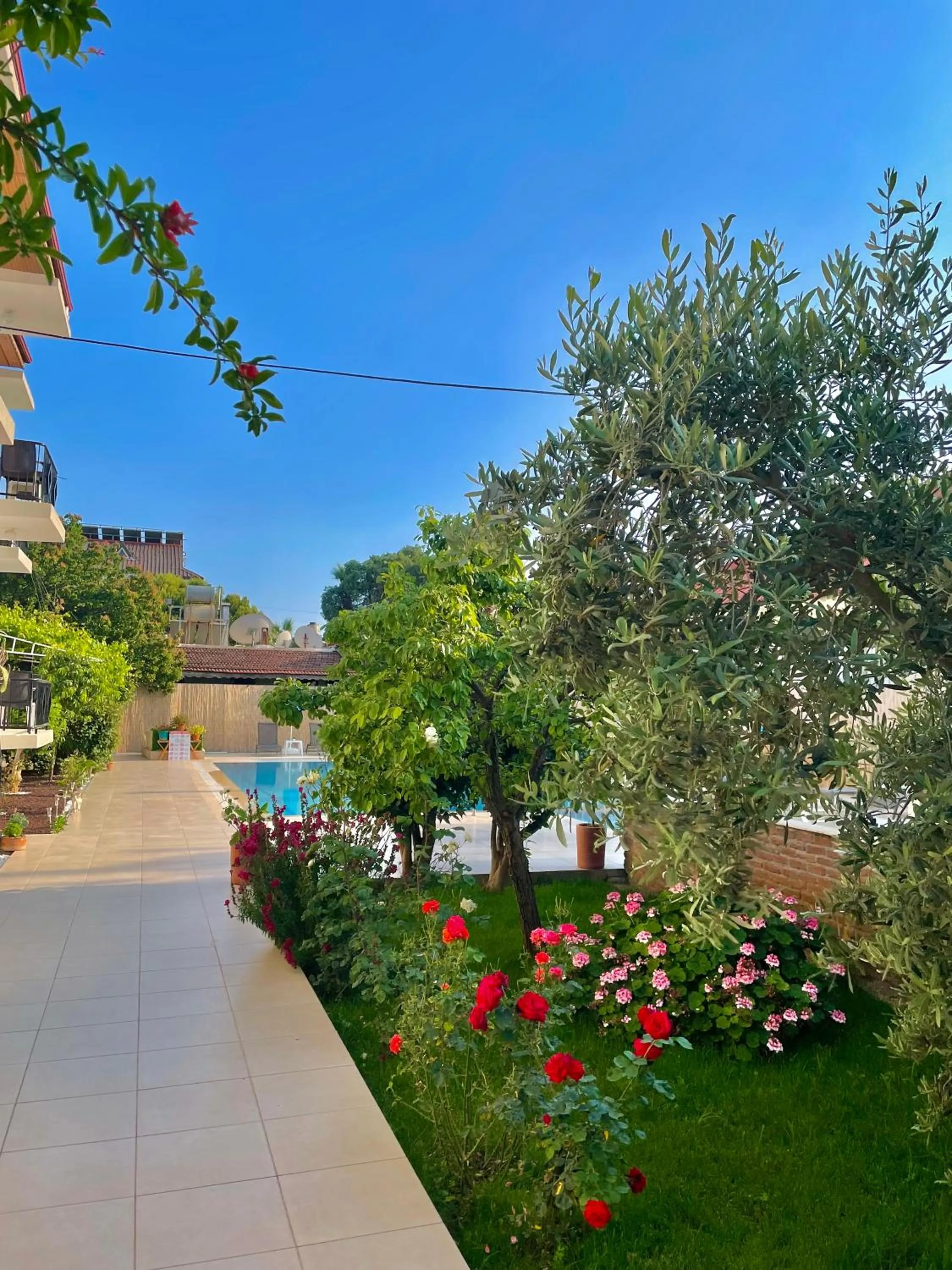 Garden in Cennet Hotel