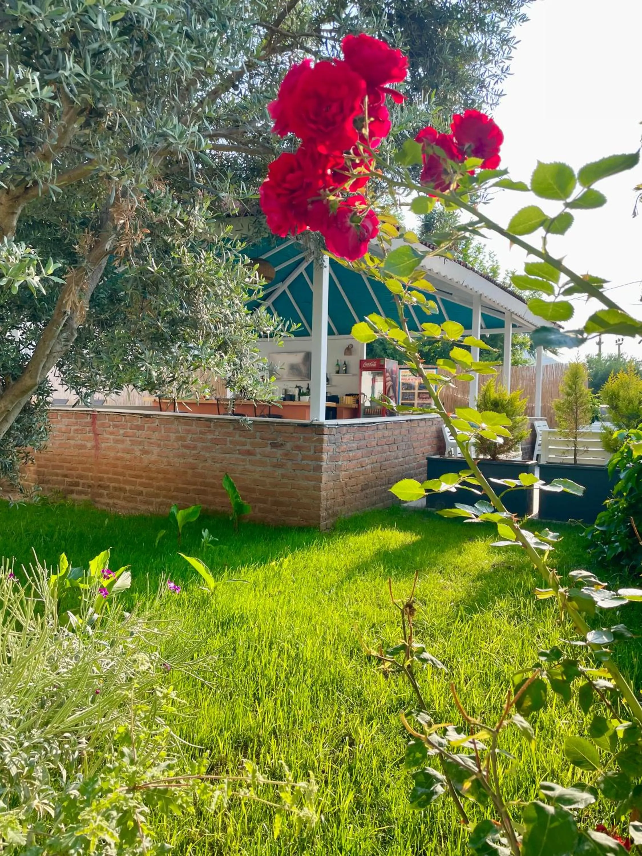 Garden in Cennet Hotel