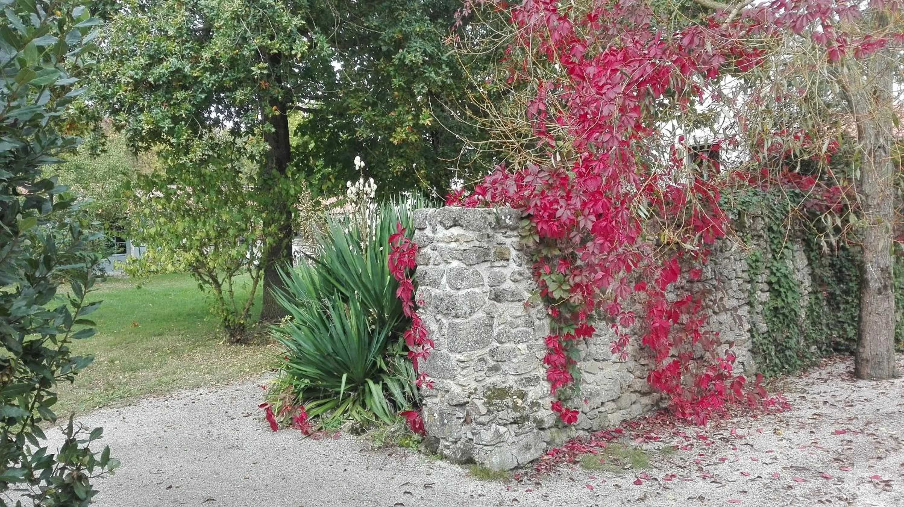 Garden in Au Logis de la Mongie