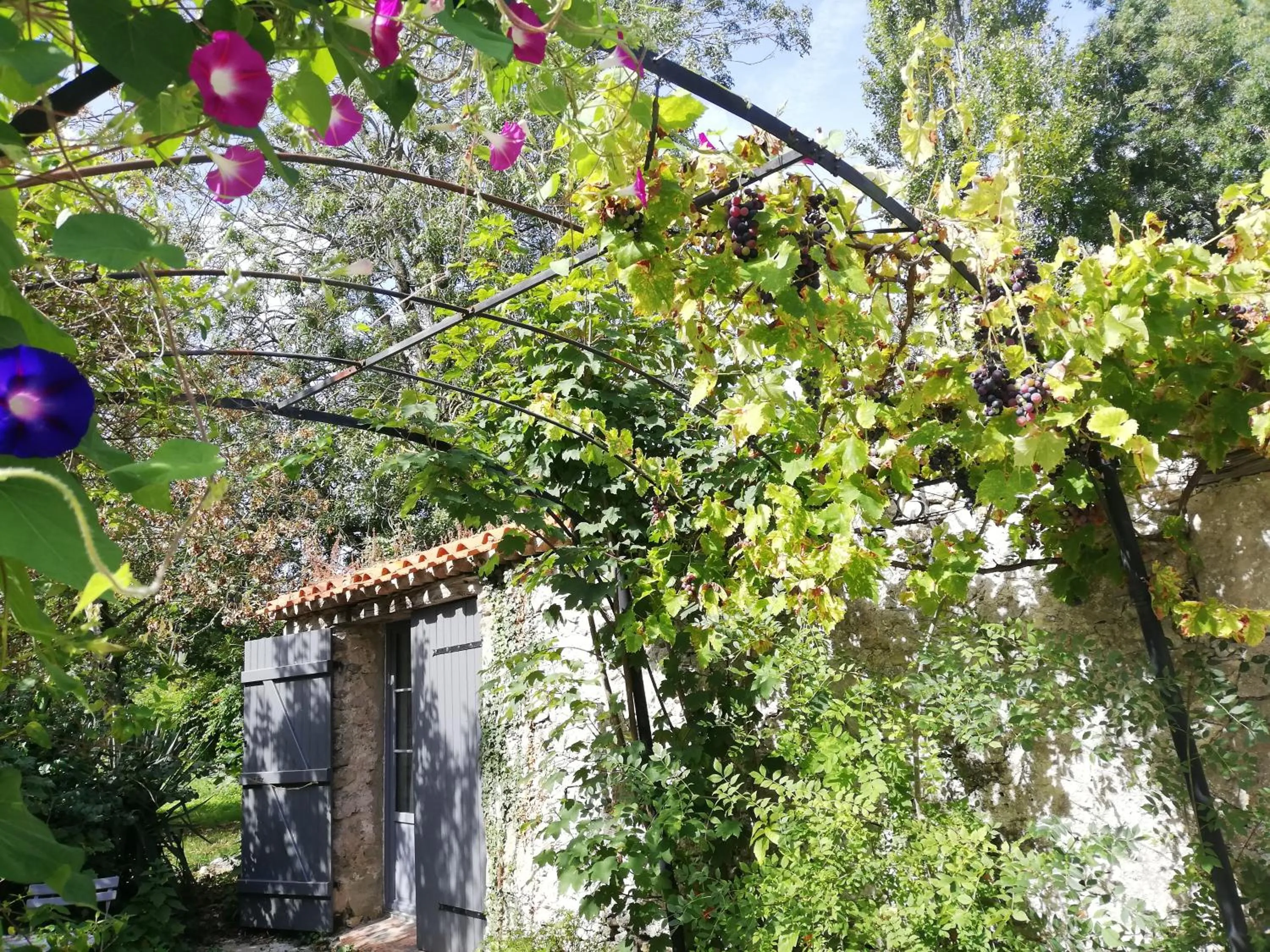 Garden in Au Logis de la Mongie
