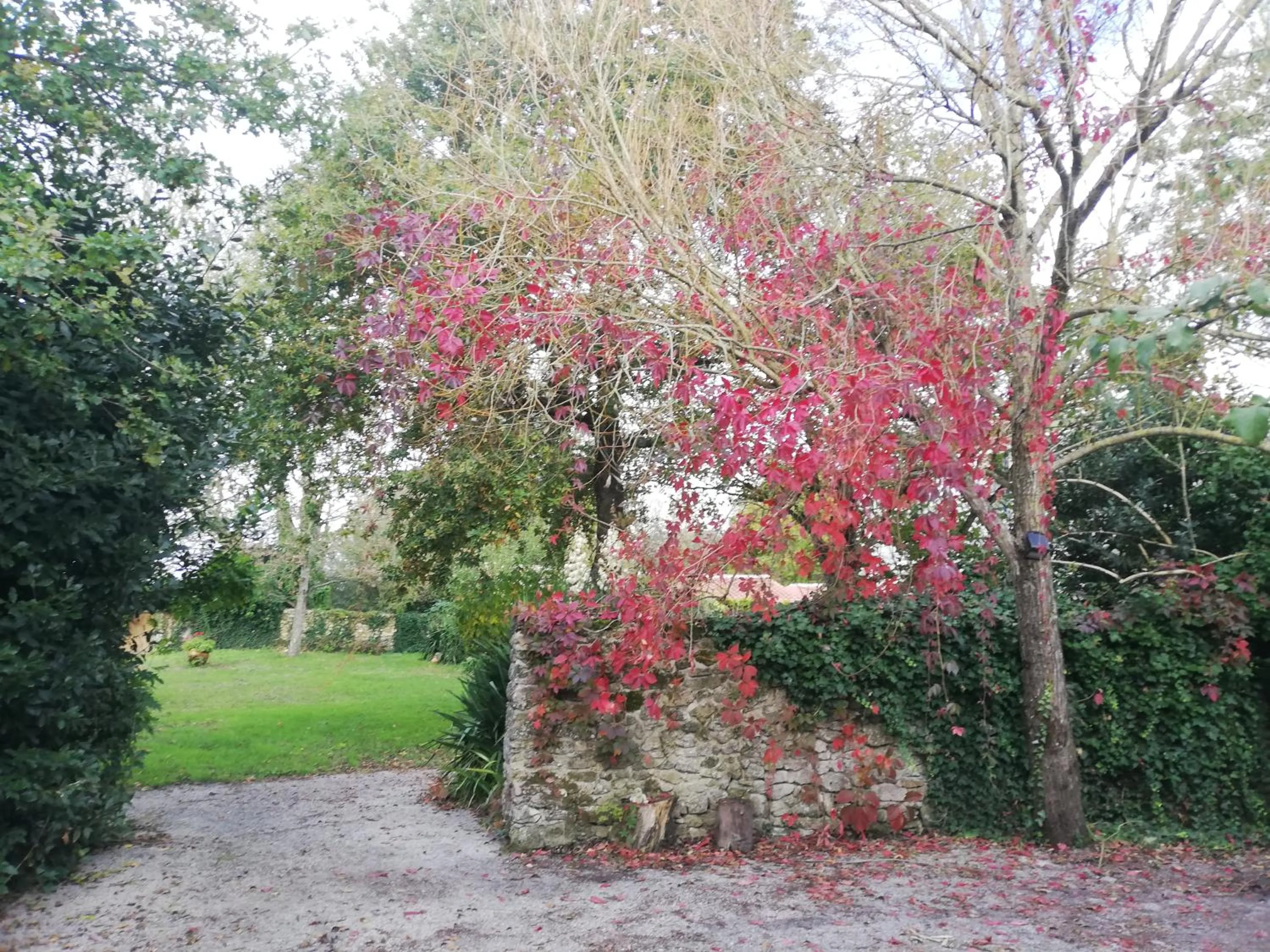 Garden in Au Logis de la Mongie