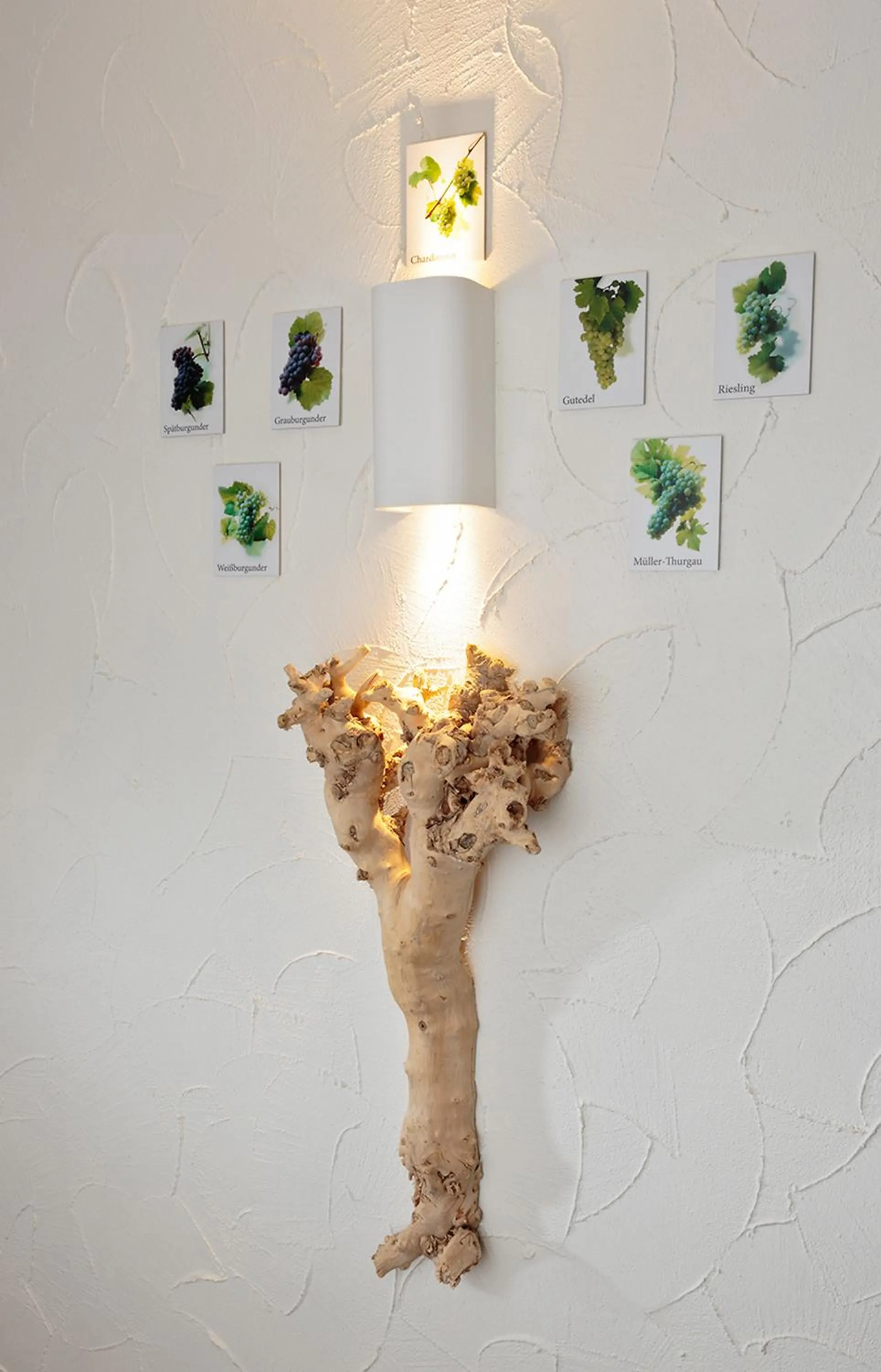 Other in Park Hotel Post