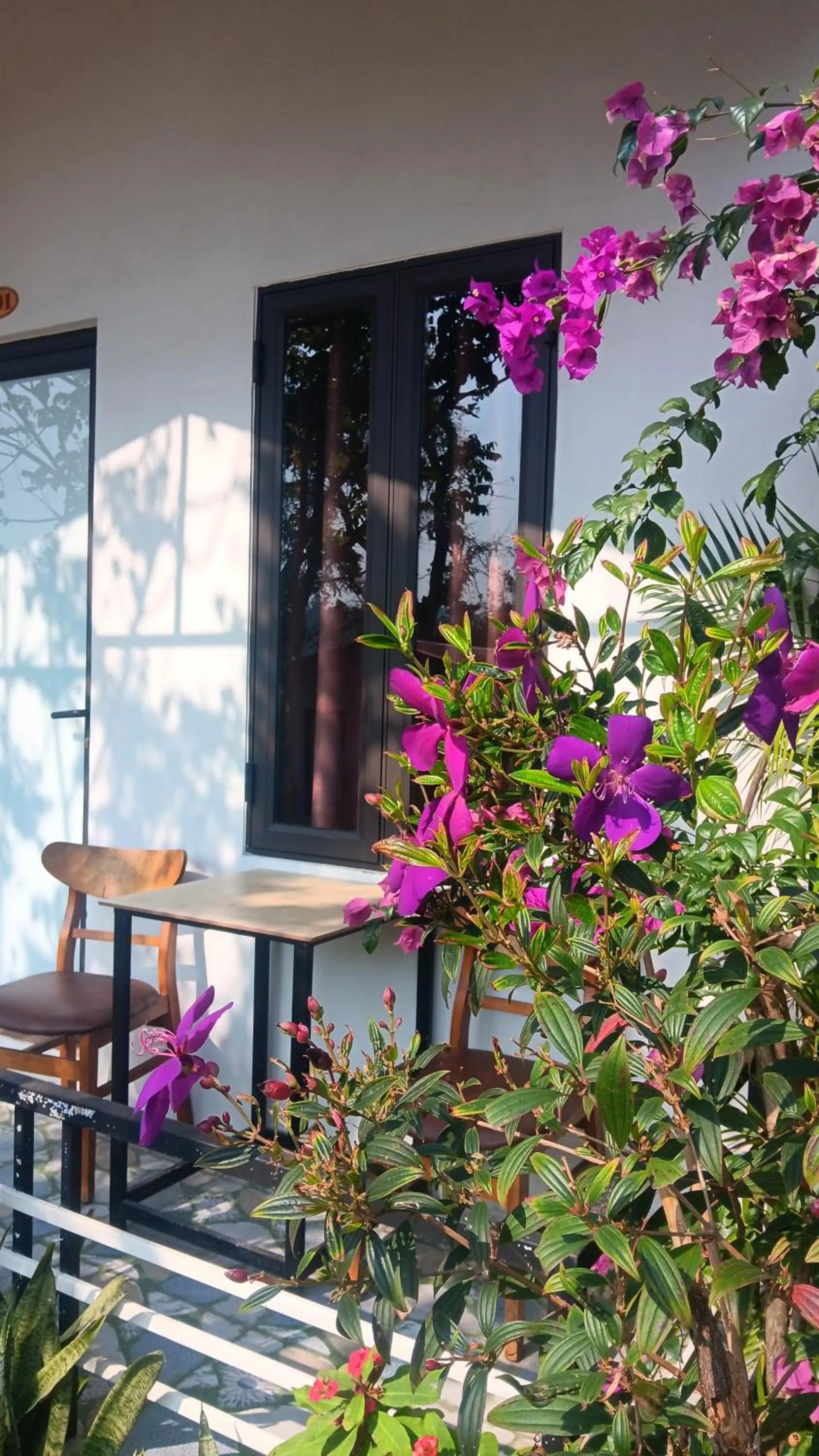 Garden in Tran Chau Garden Home