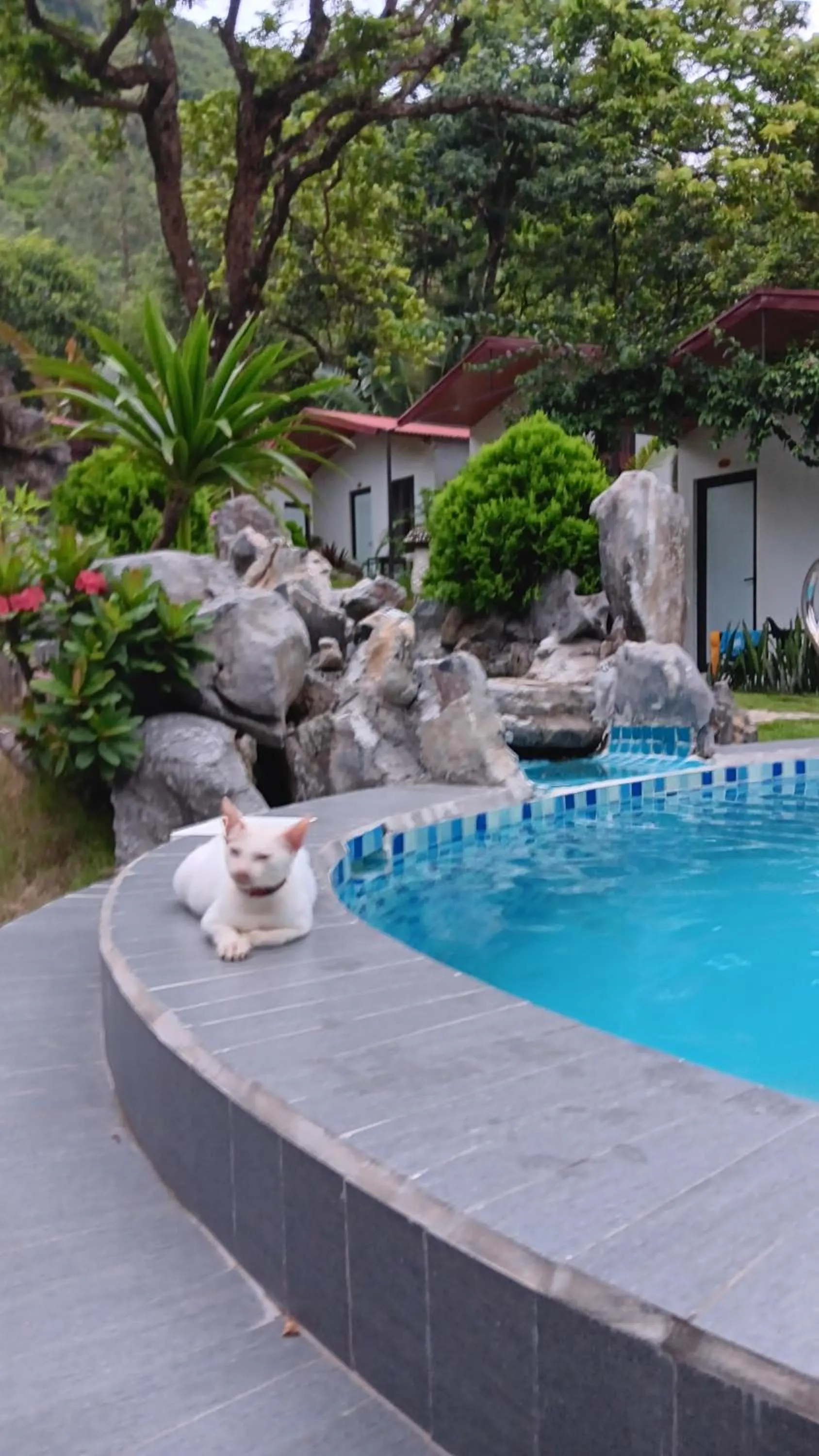 Swimming pool in Tran Chau Garden Home