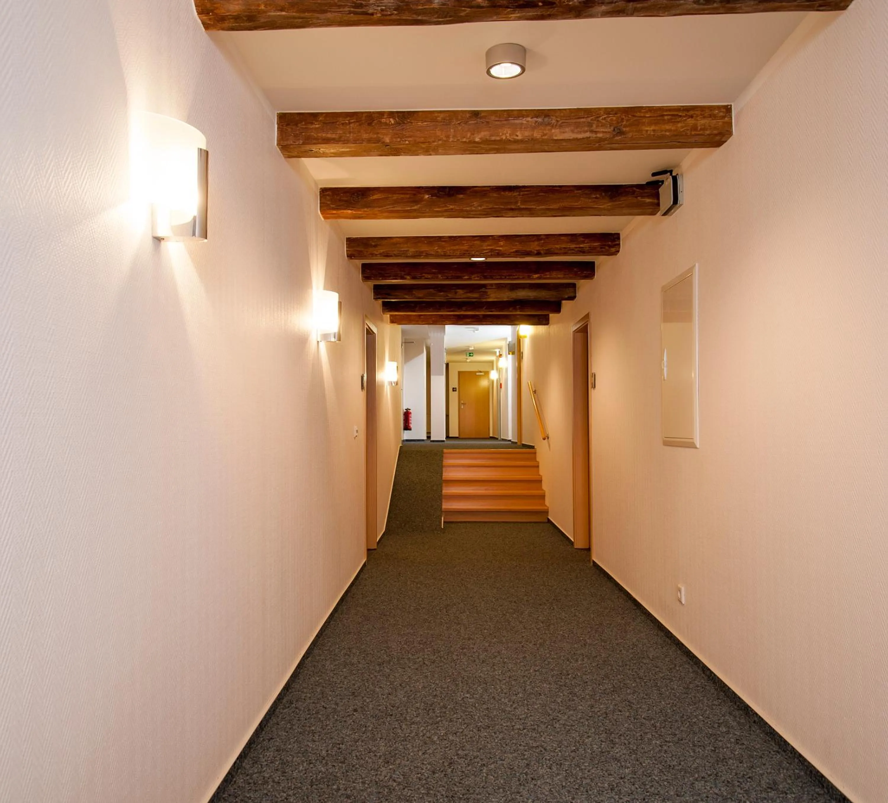 Area and facilities in Hotel Europa