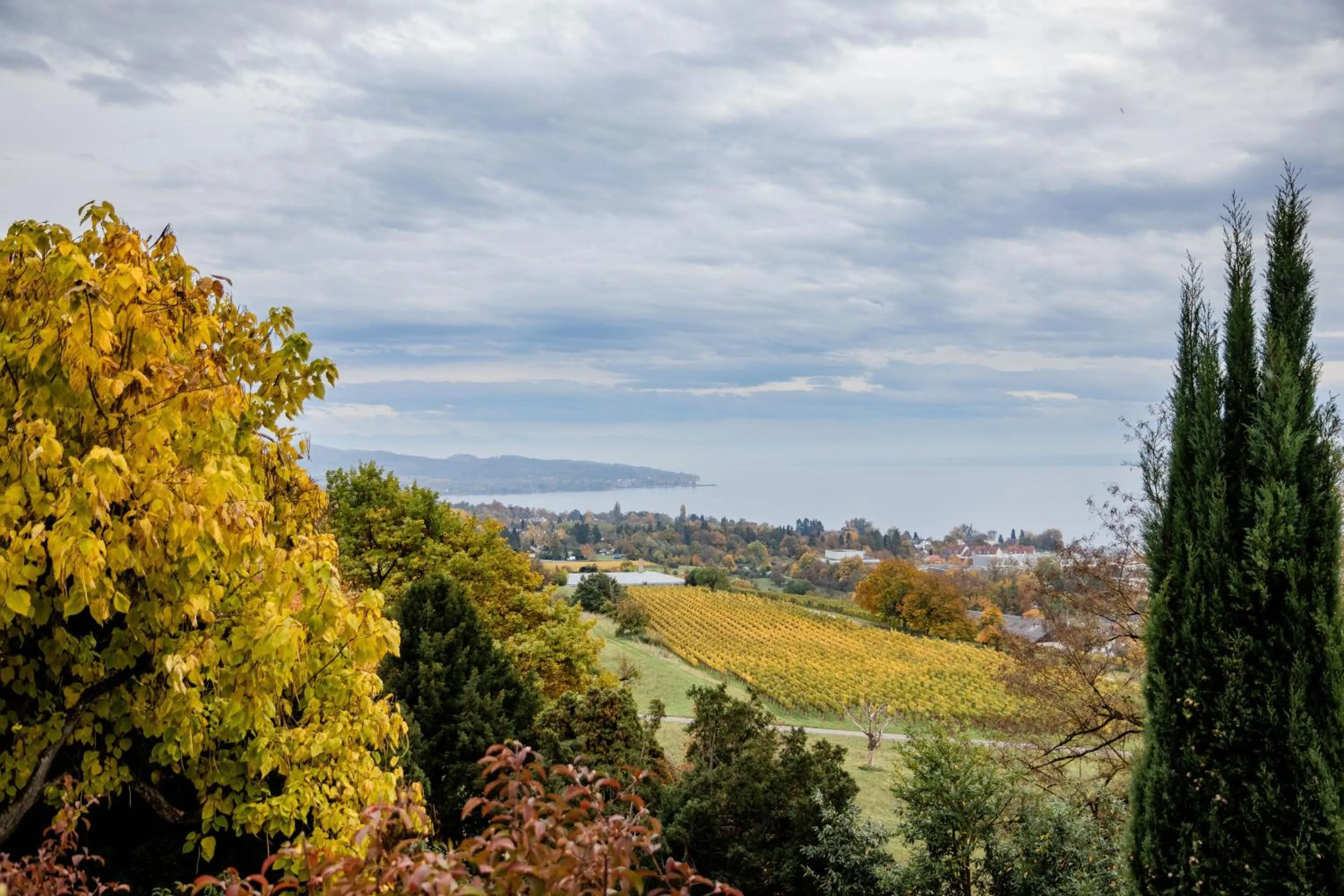 View (from property/room) in Parkhotel St.Leonhard