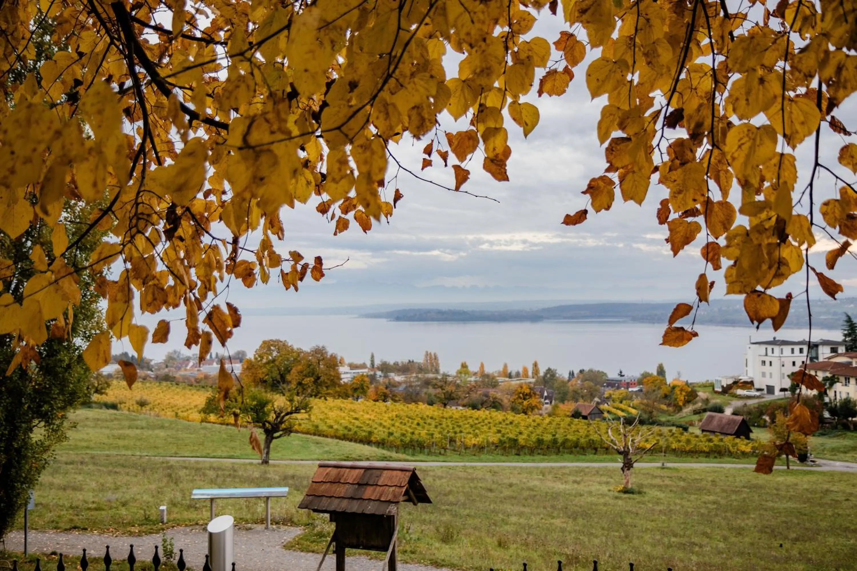 Lake view in Parkhotel St.Leonhard