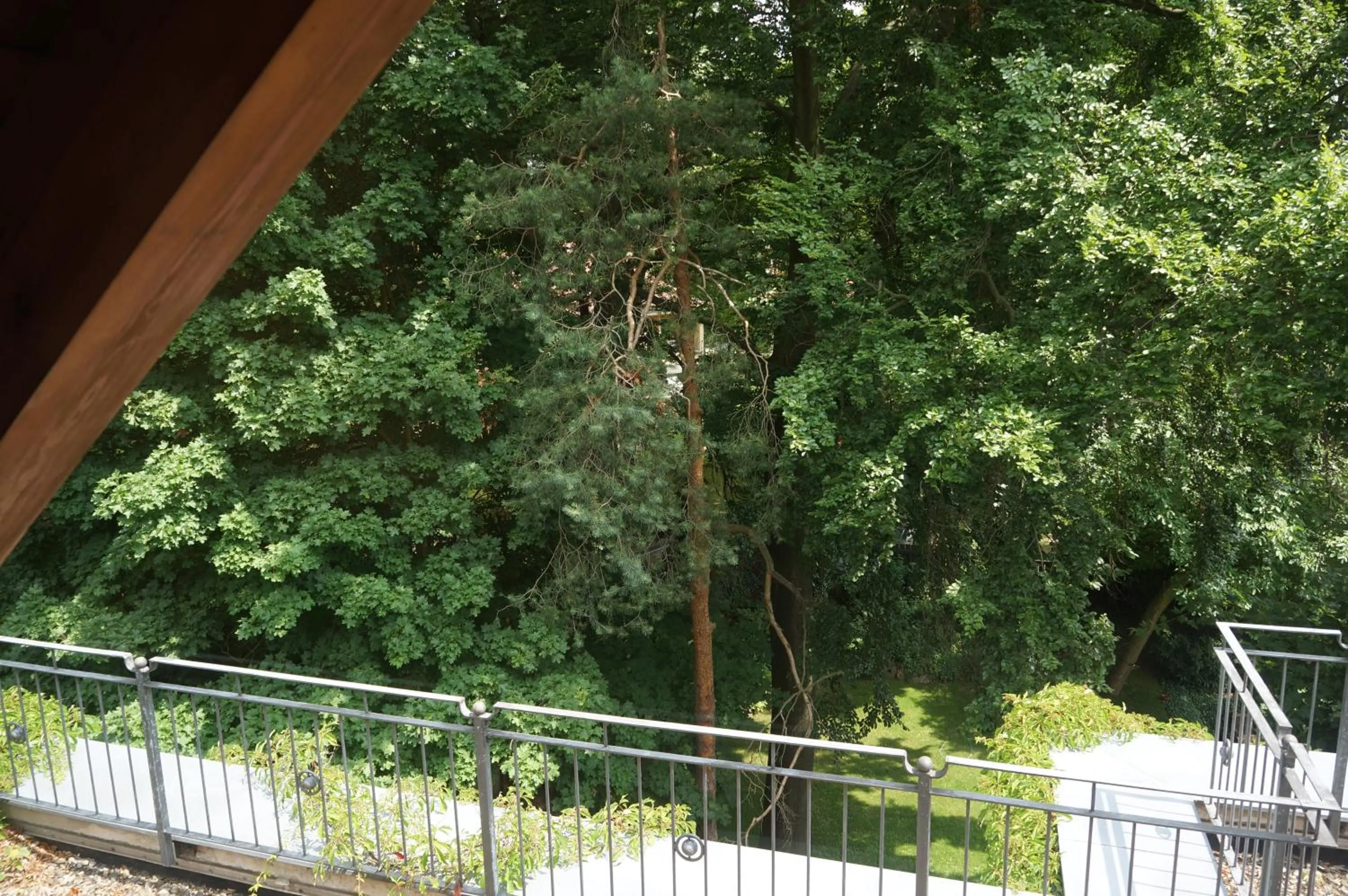 Balcony/Terrace in Hotel Villa Herzog