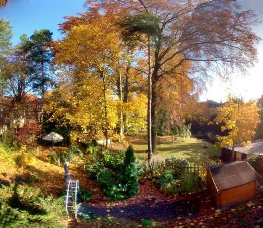 Day in Hotel Villa Herzog