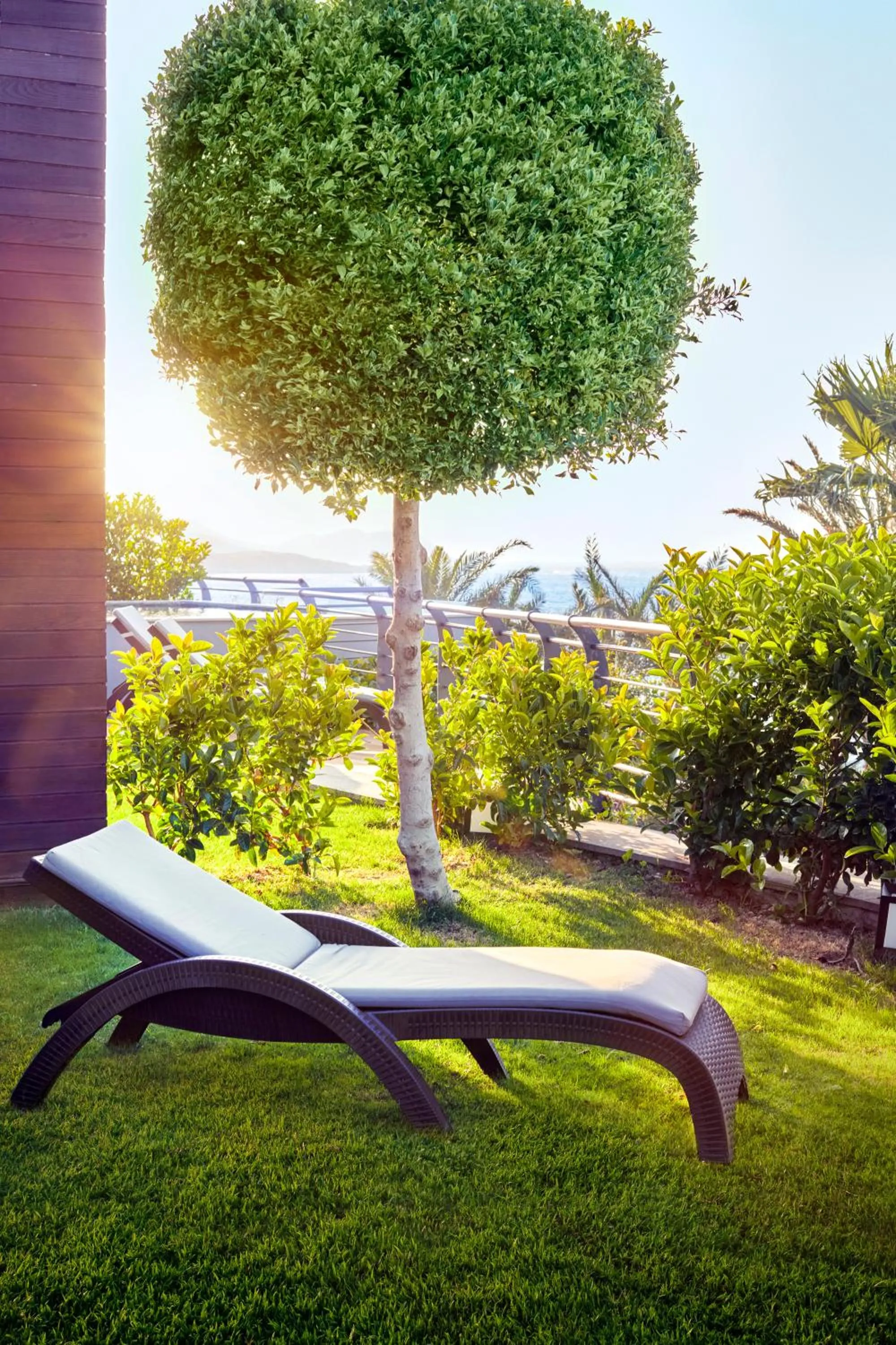 Garden in Root Redrock Yalıkavak