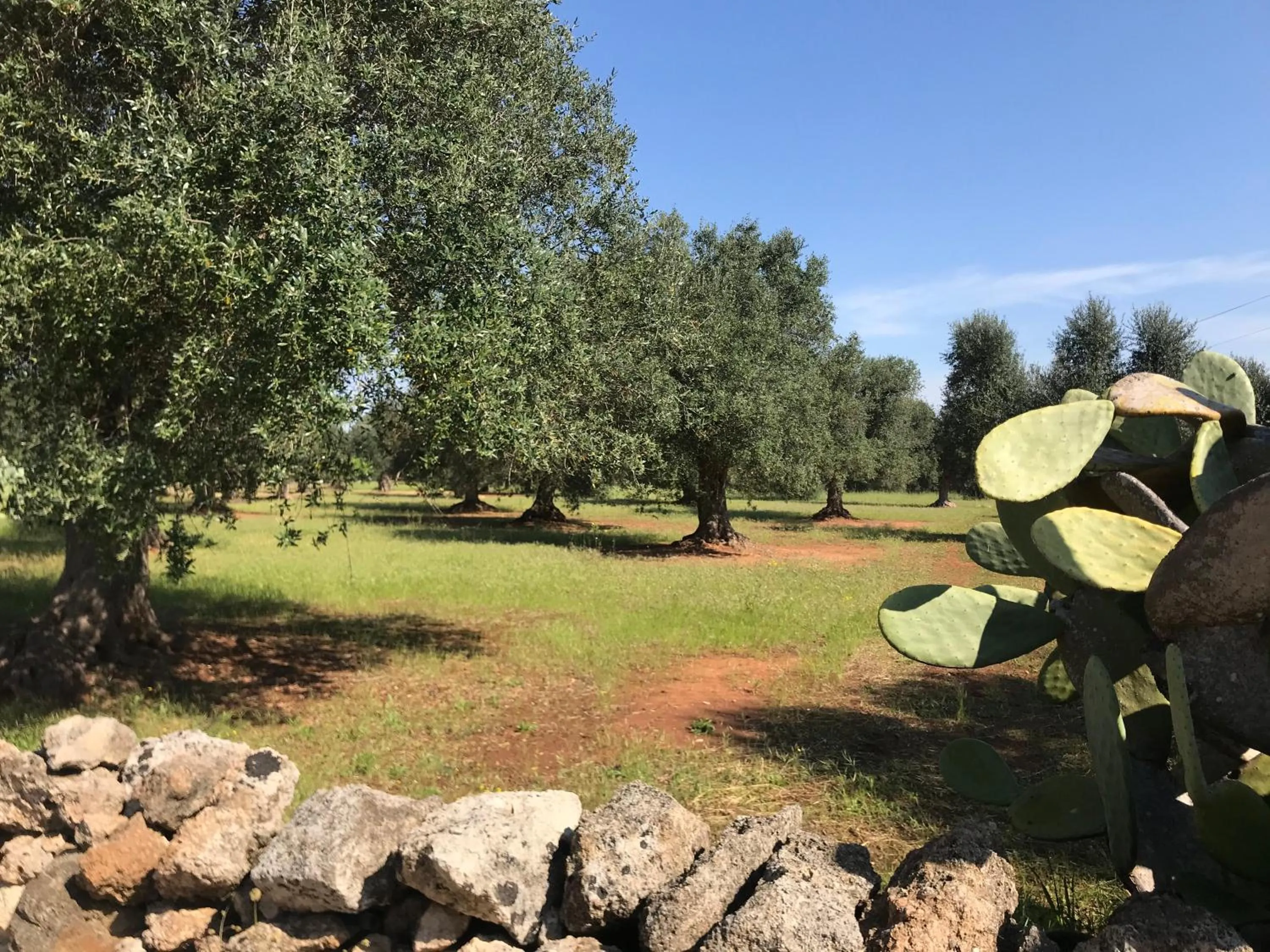 Property building in B&B TENUTA AGNUSDEI