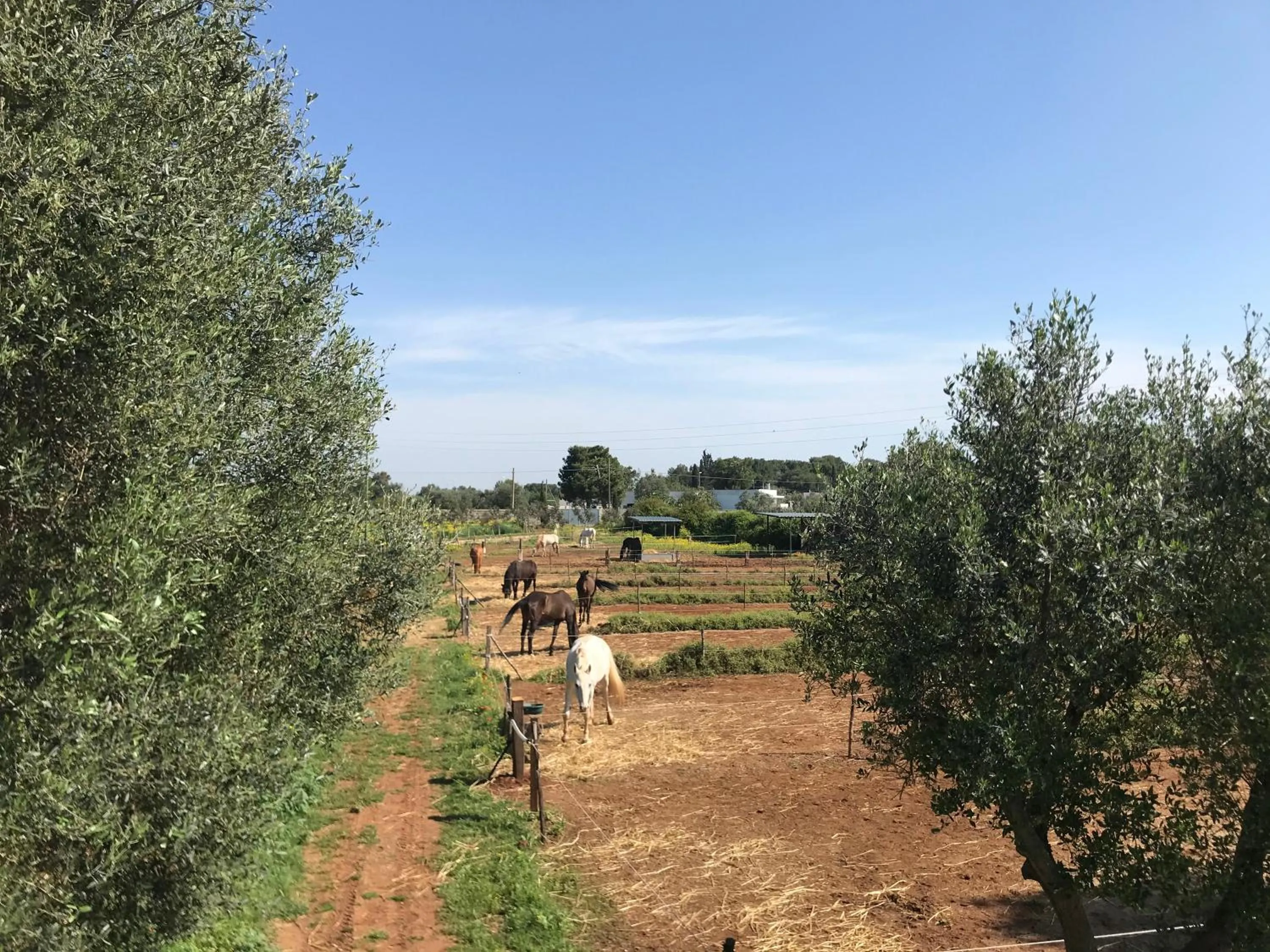 Property building in B&B TENUTA AGNUSDEI