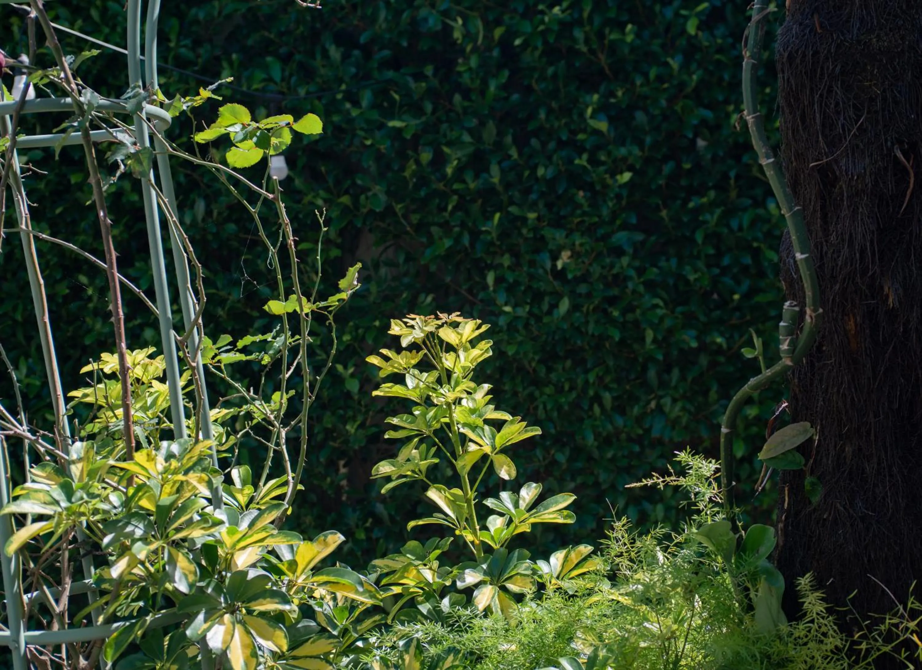 Le Soleil Boutique Hotel