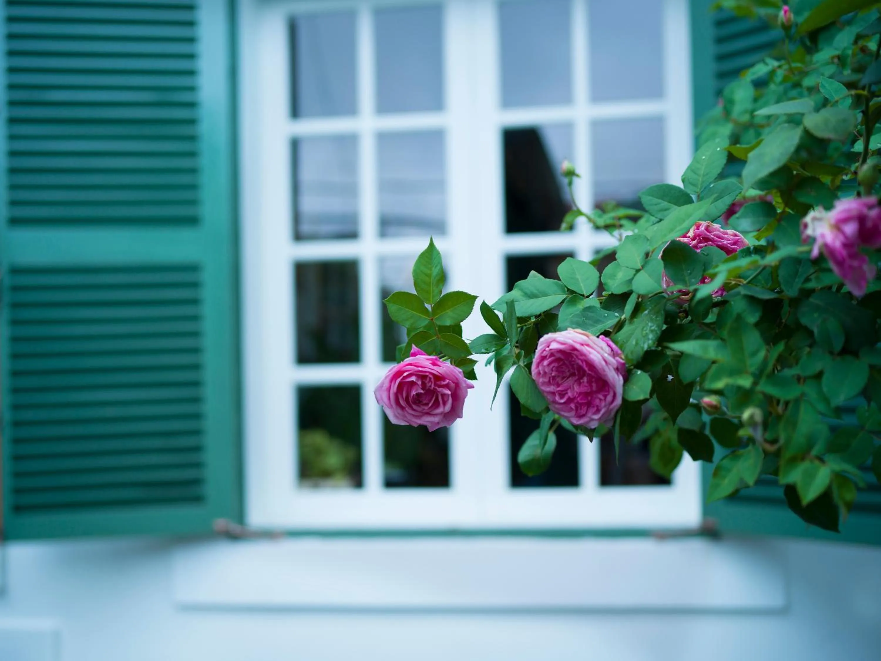Garden in Le Soleil Boutique Hotel