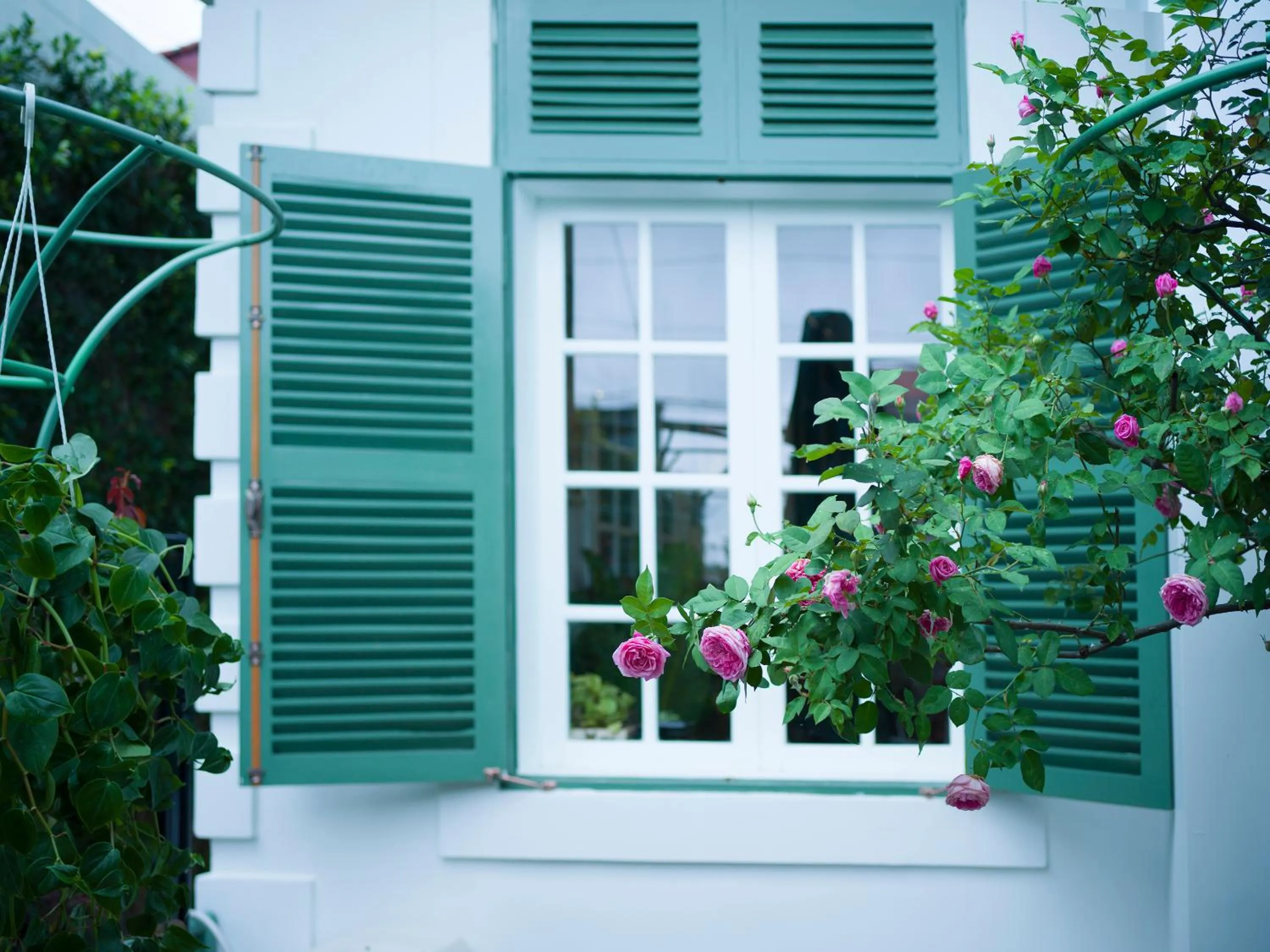 Garden in Le Soleil Boutique Hotel