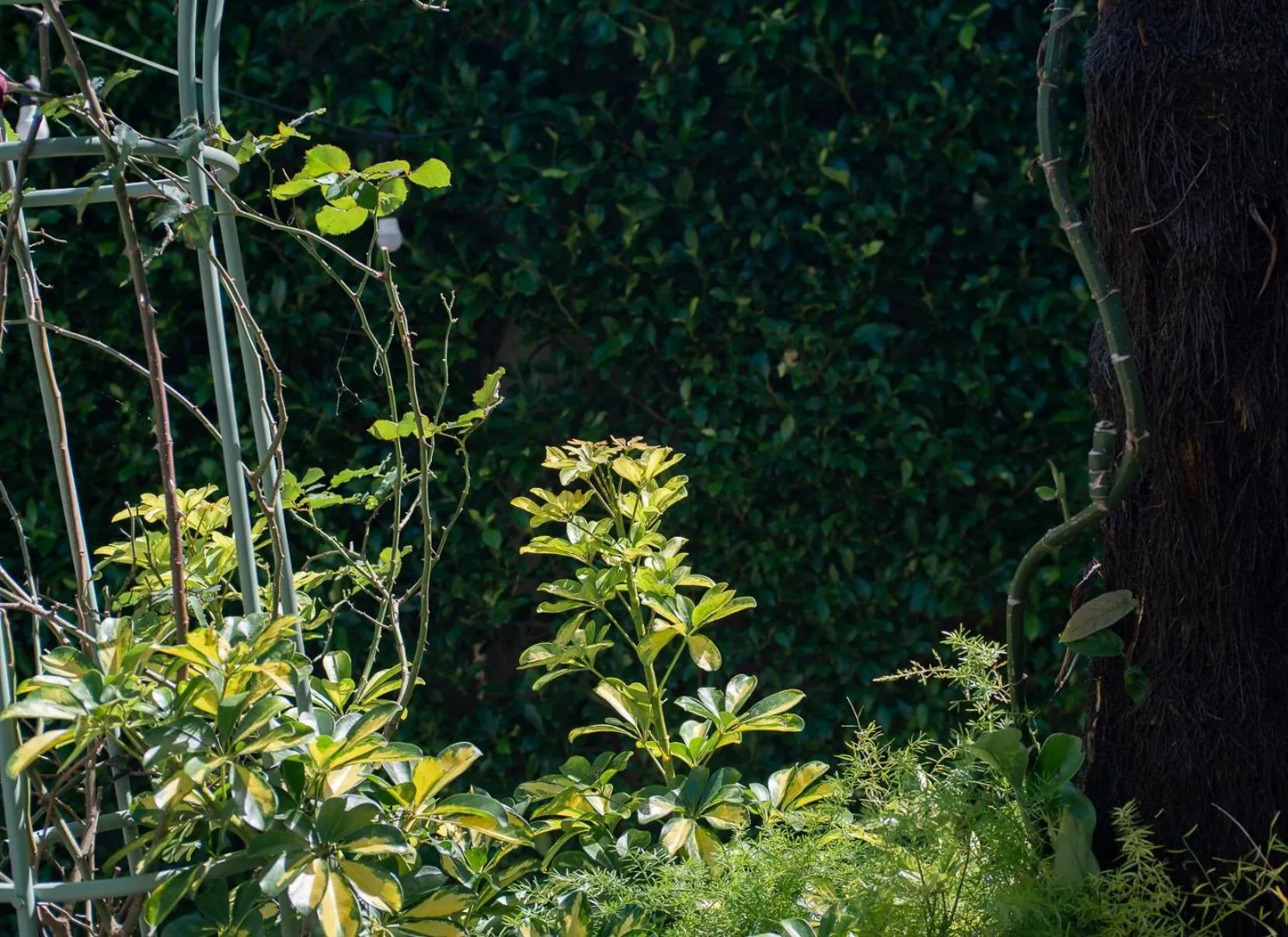 Spring in Le Soleil Boutique Hotel