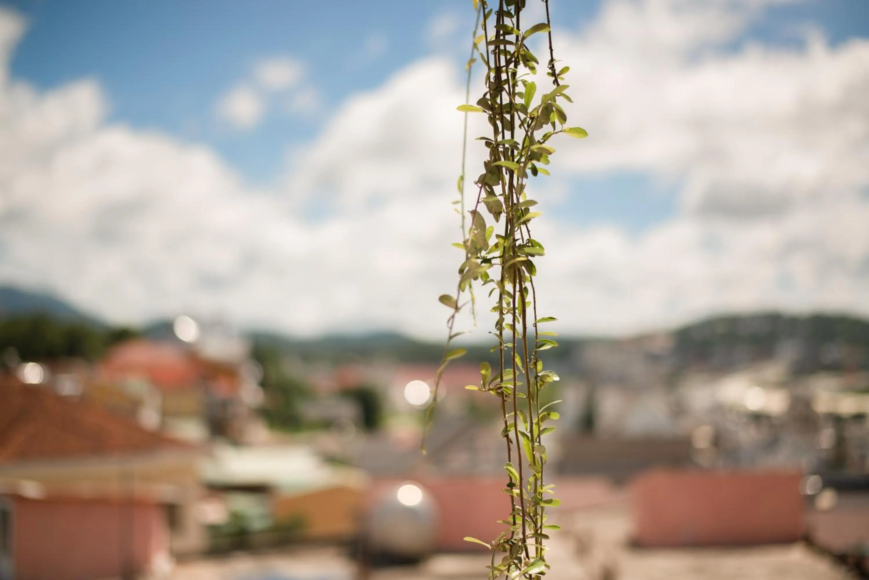 Le Soleil Boutique Hotel