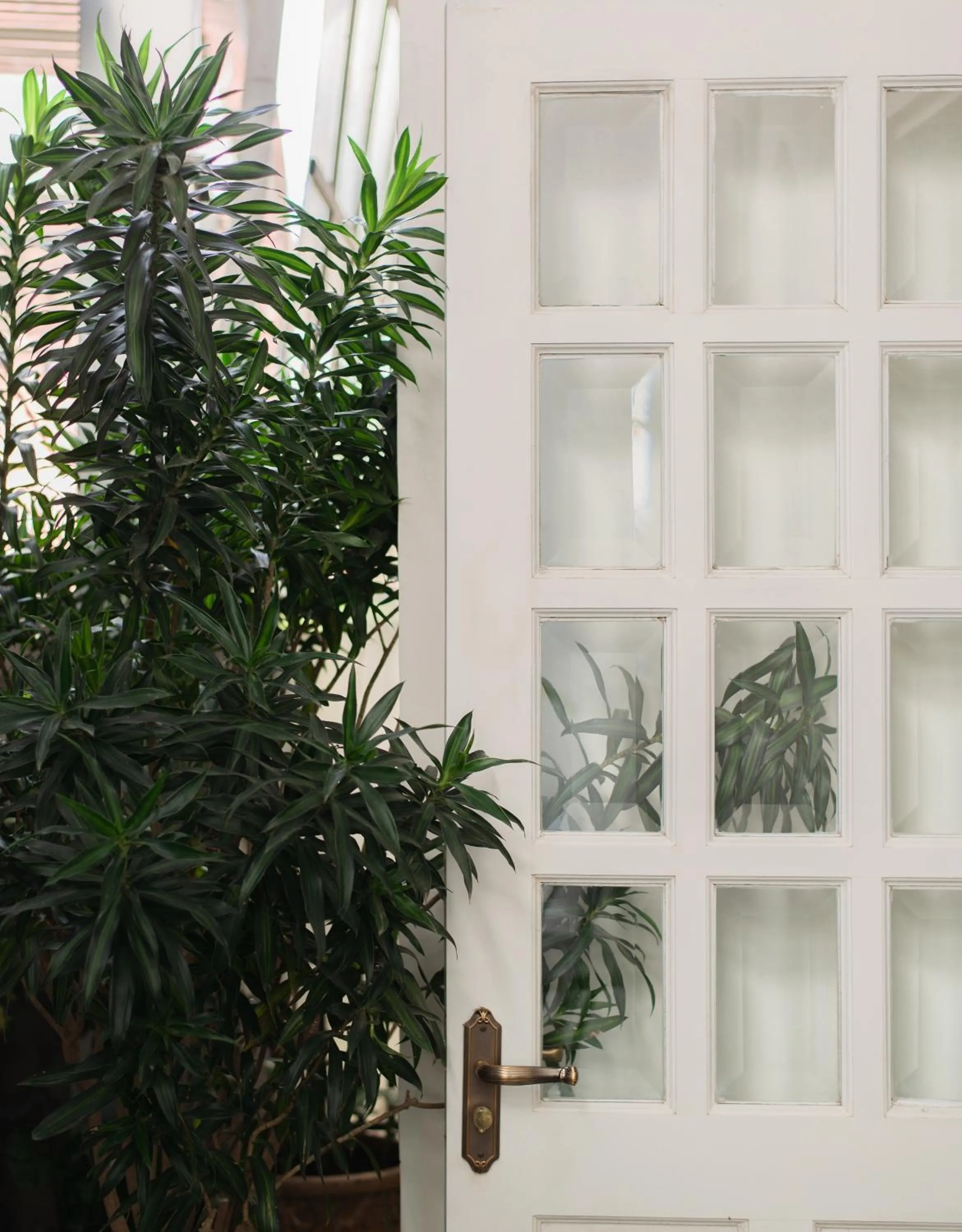 Le Soleil Boutique Hotel