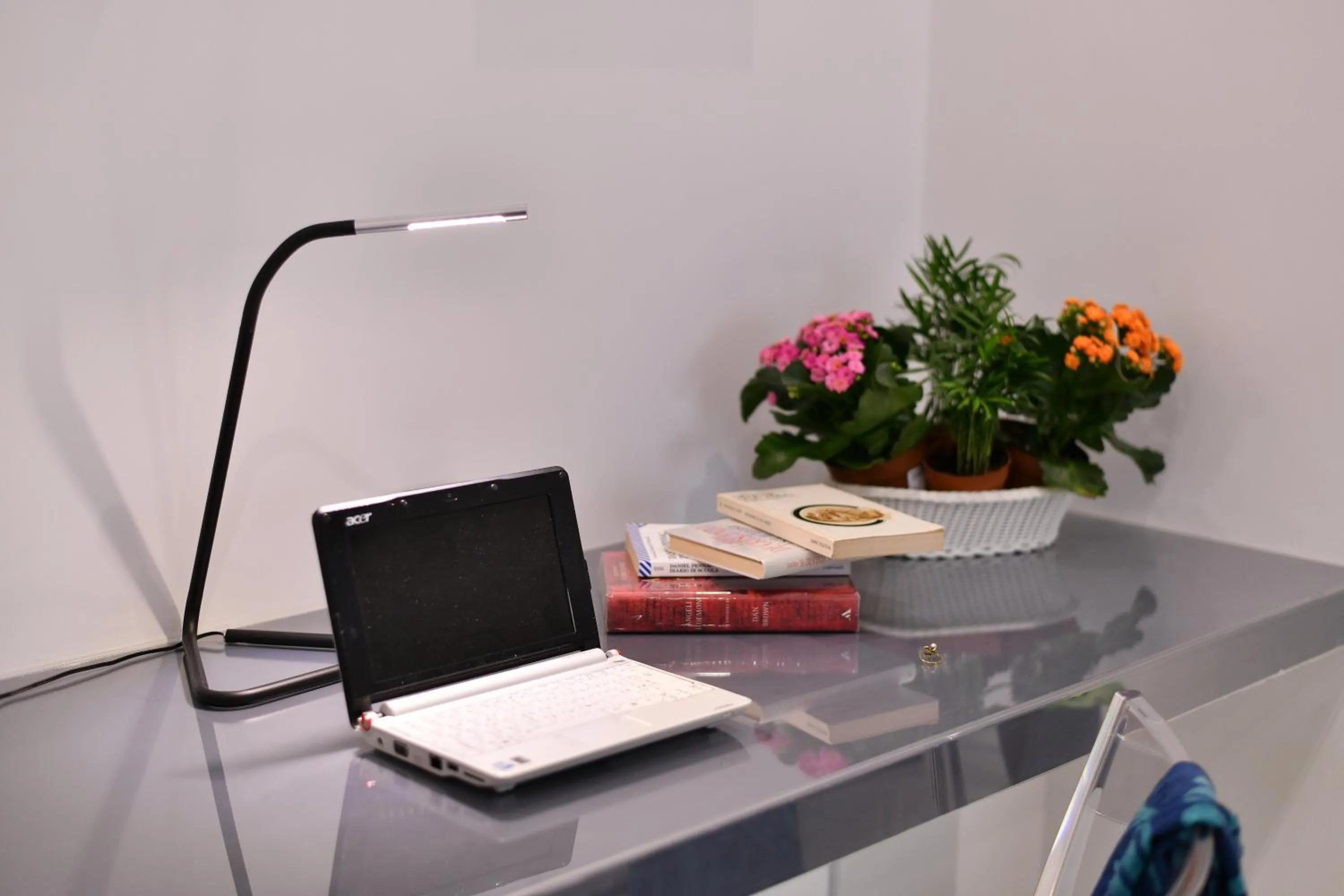 TV and multimedia in Domus 42