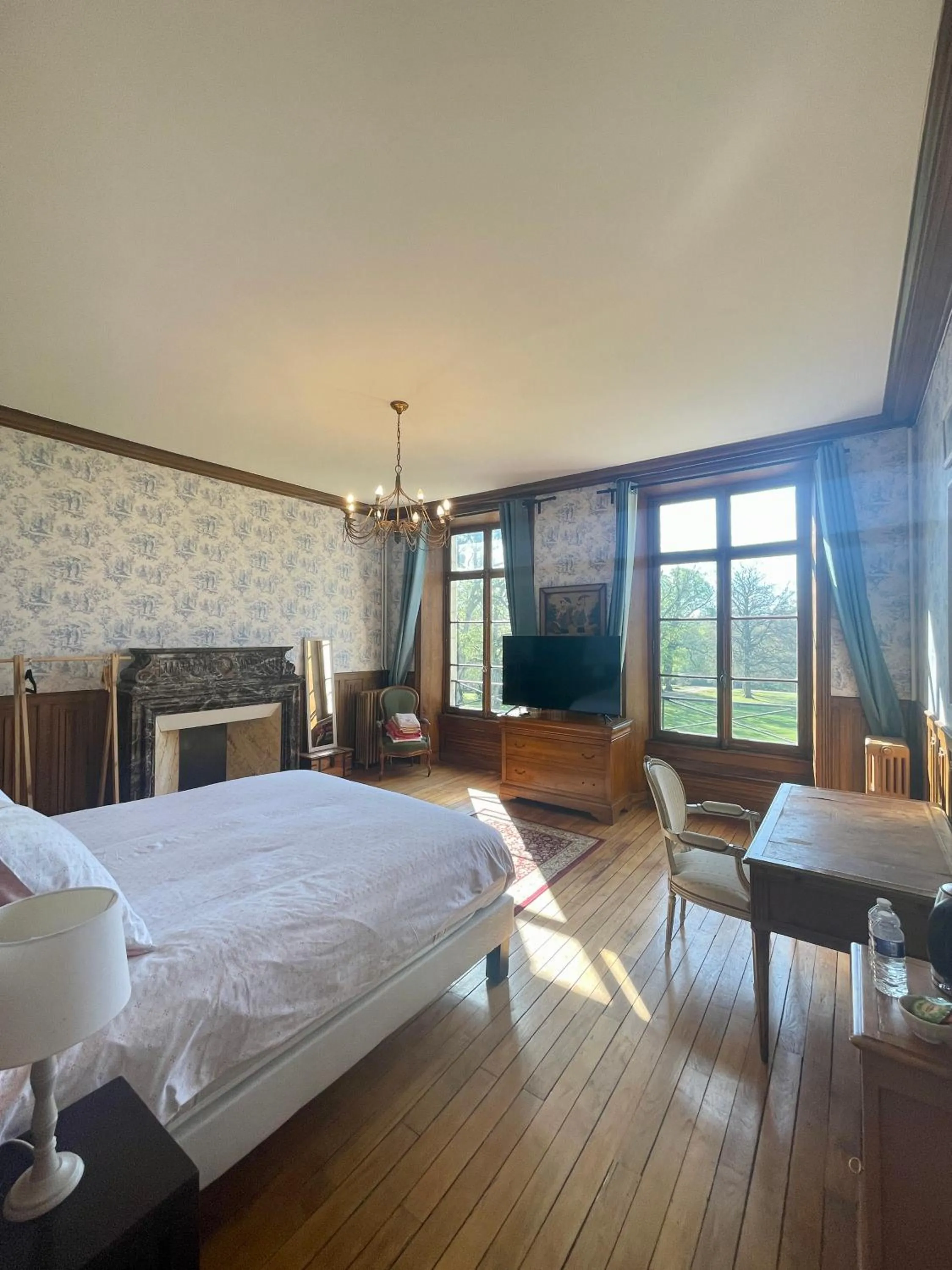 Photo of the whole room, Bed in Château du Boulay Morin
