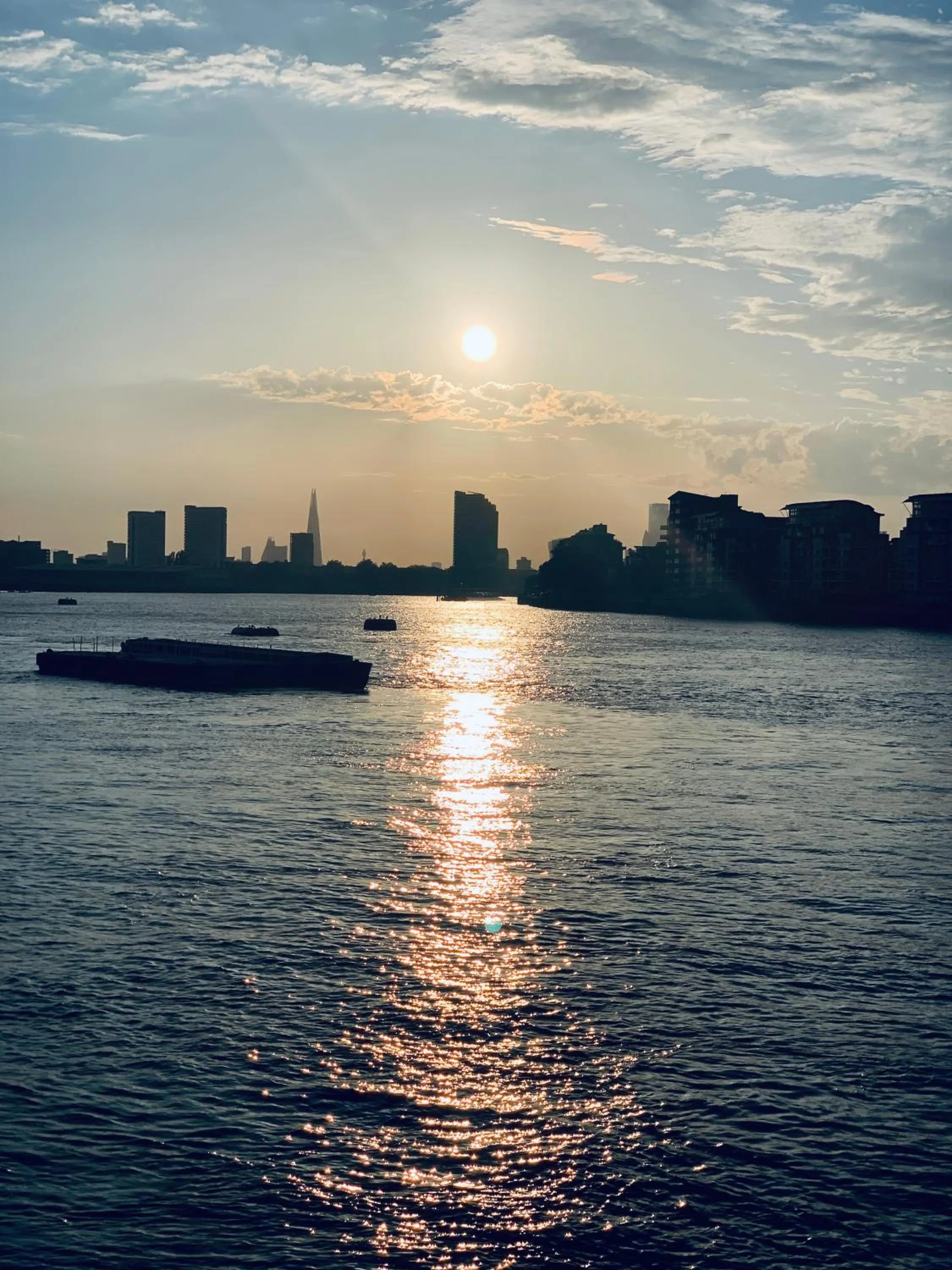 Natural landscape in SE10 House