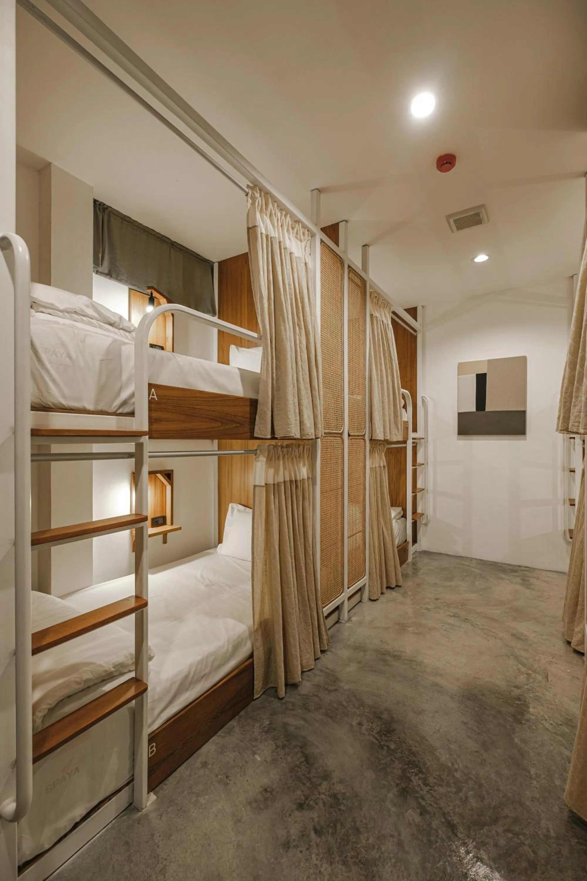 bunk bed, Bed in Hidden Garden Hostel