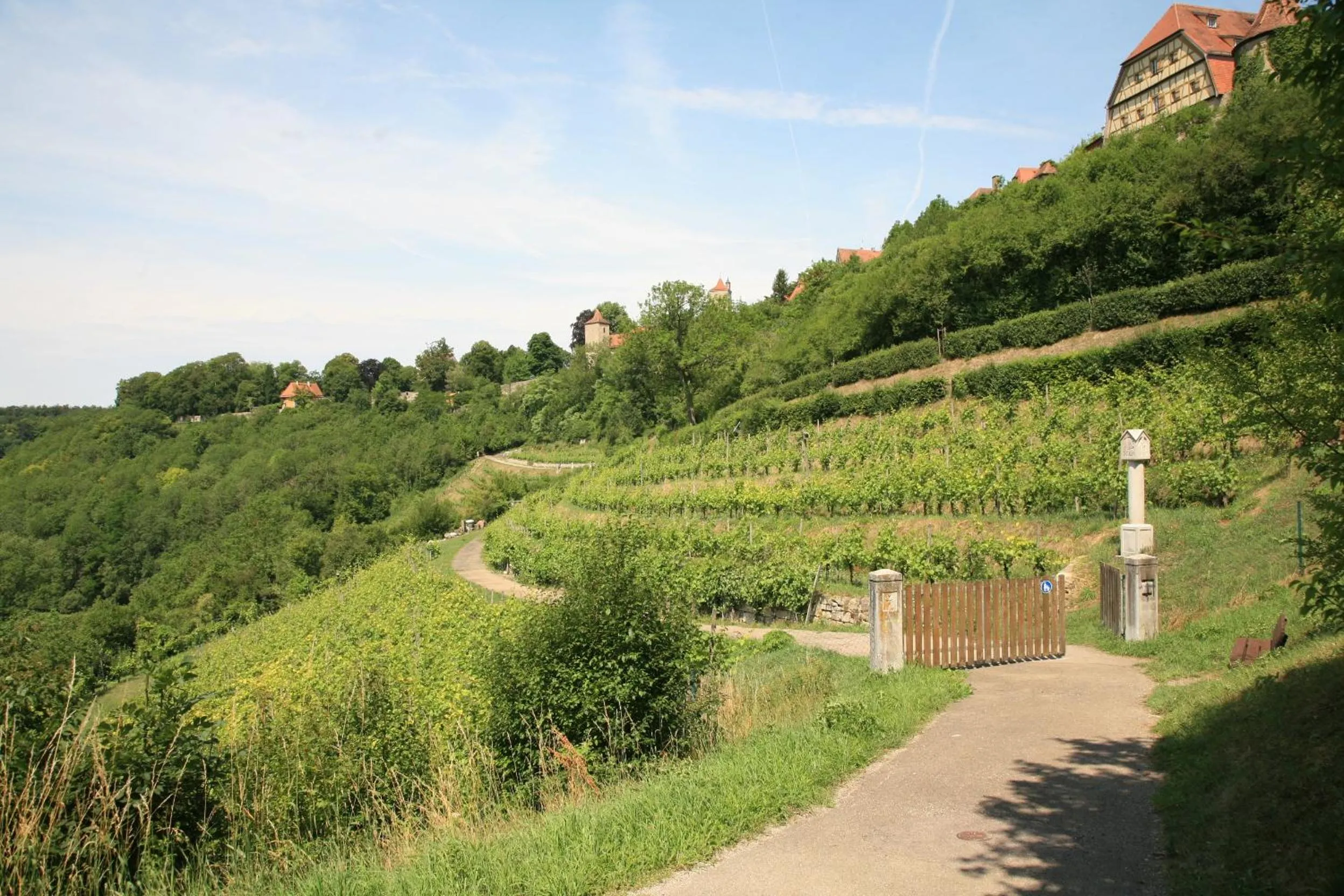 Area and facilities in Glocke Weingut und Hotel