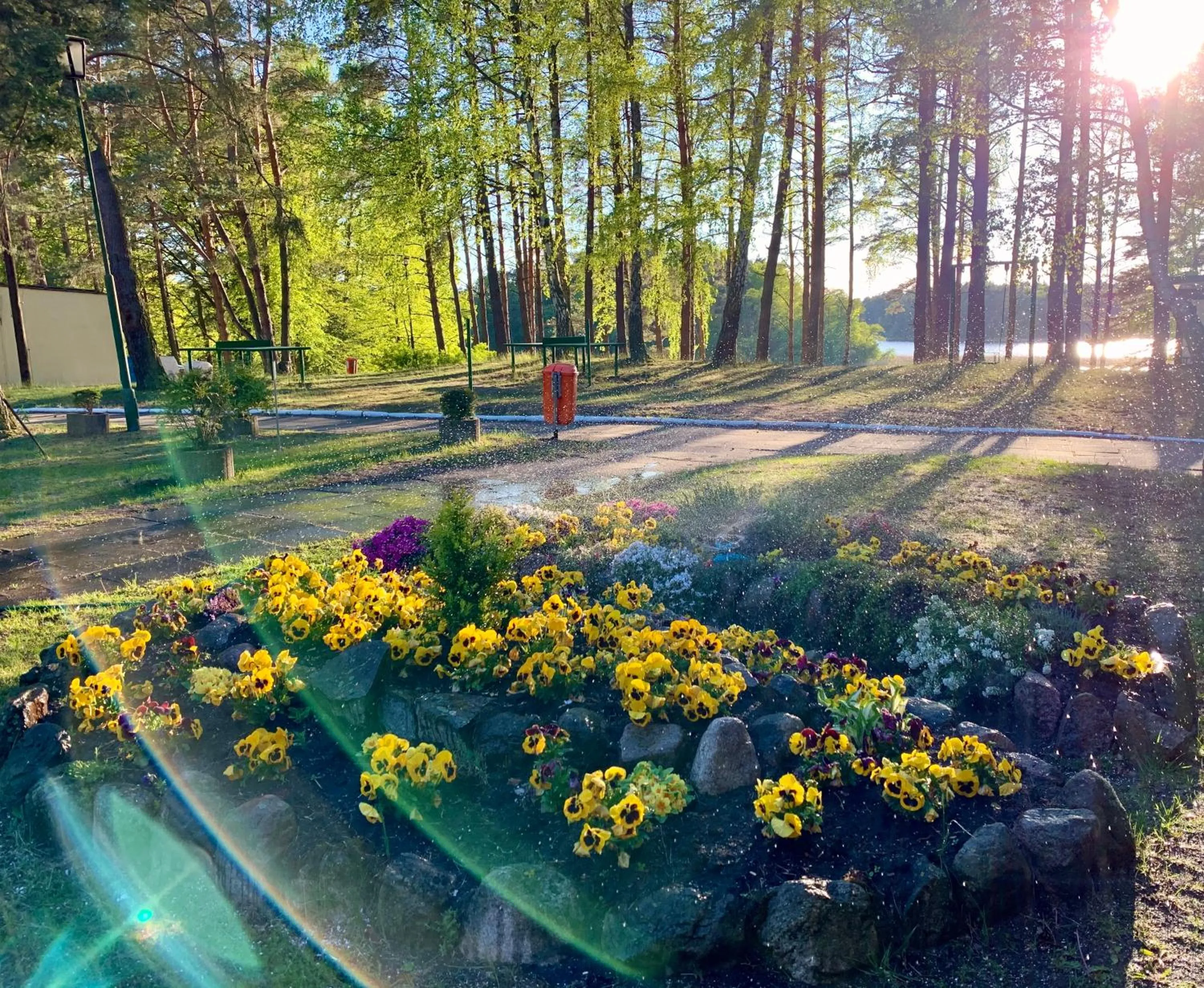 Garden in Ośrodek Wypoczynkowy Jeziornik