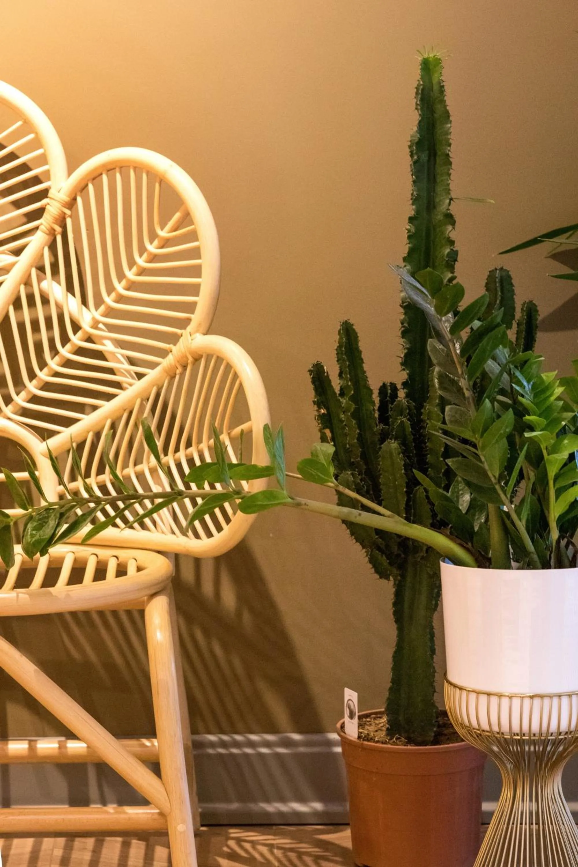 Decorative detail in Luff Boutique Hotel - Adult Only