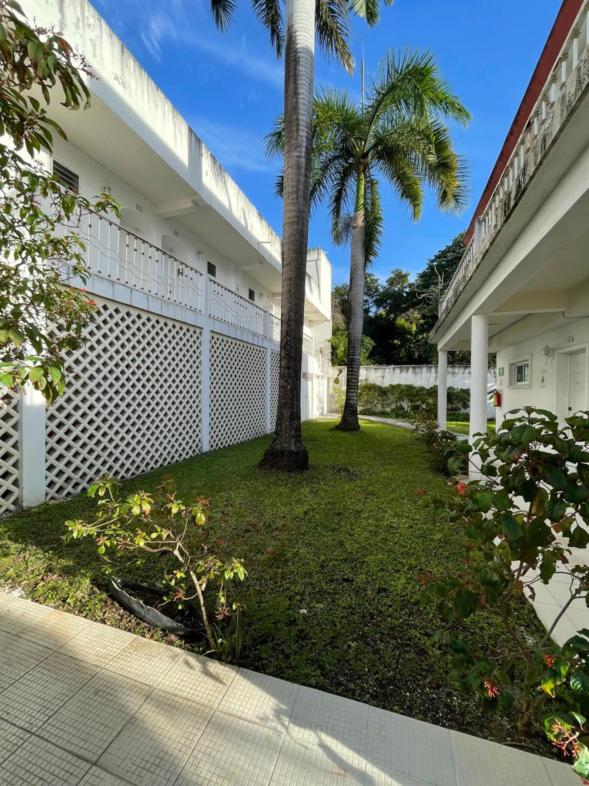 Garden in Hotel Dos Mundos, Isla Cozumel